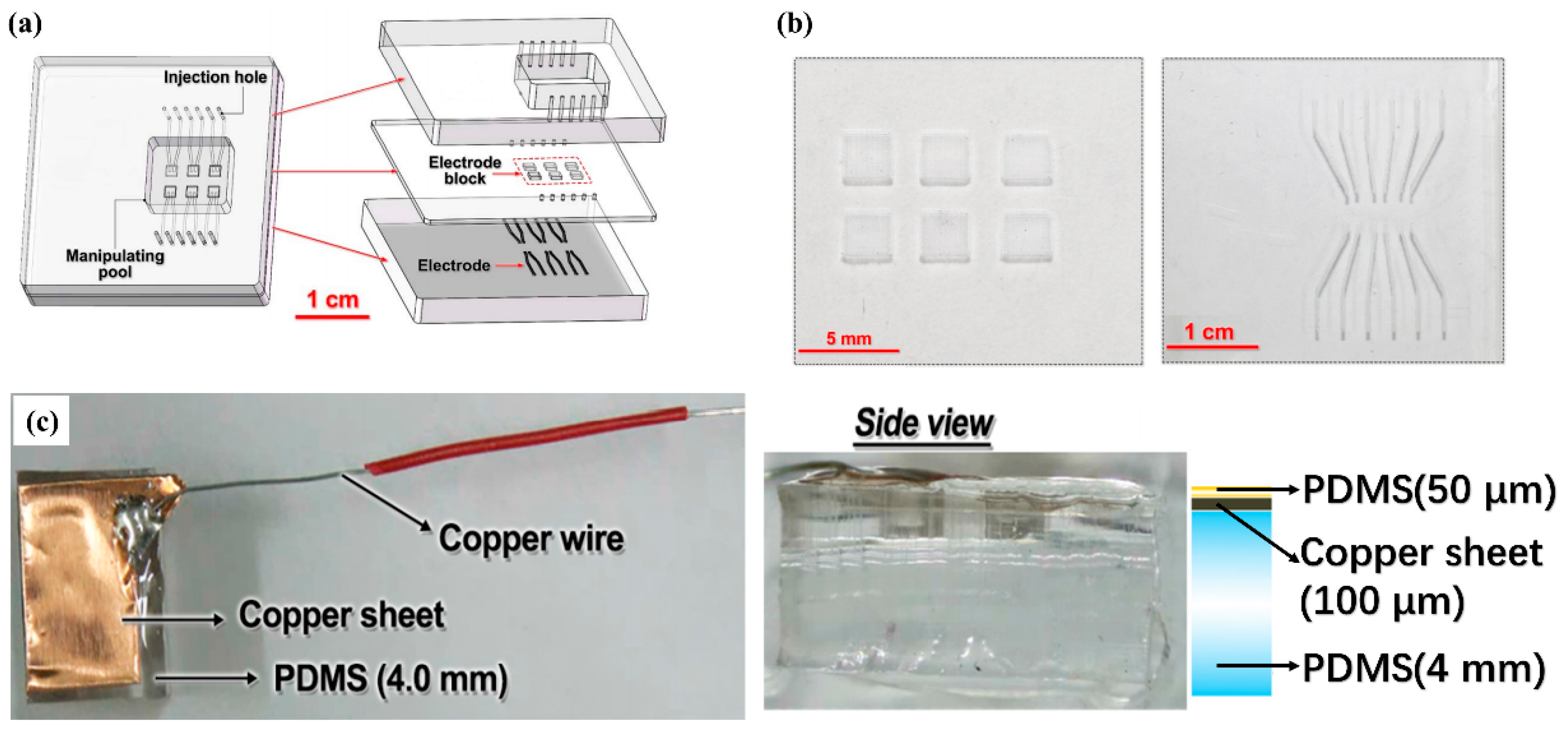 Micromachines 12 00340 g001
