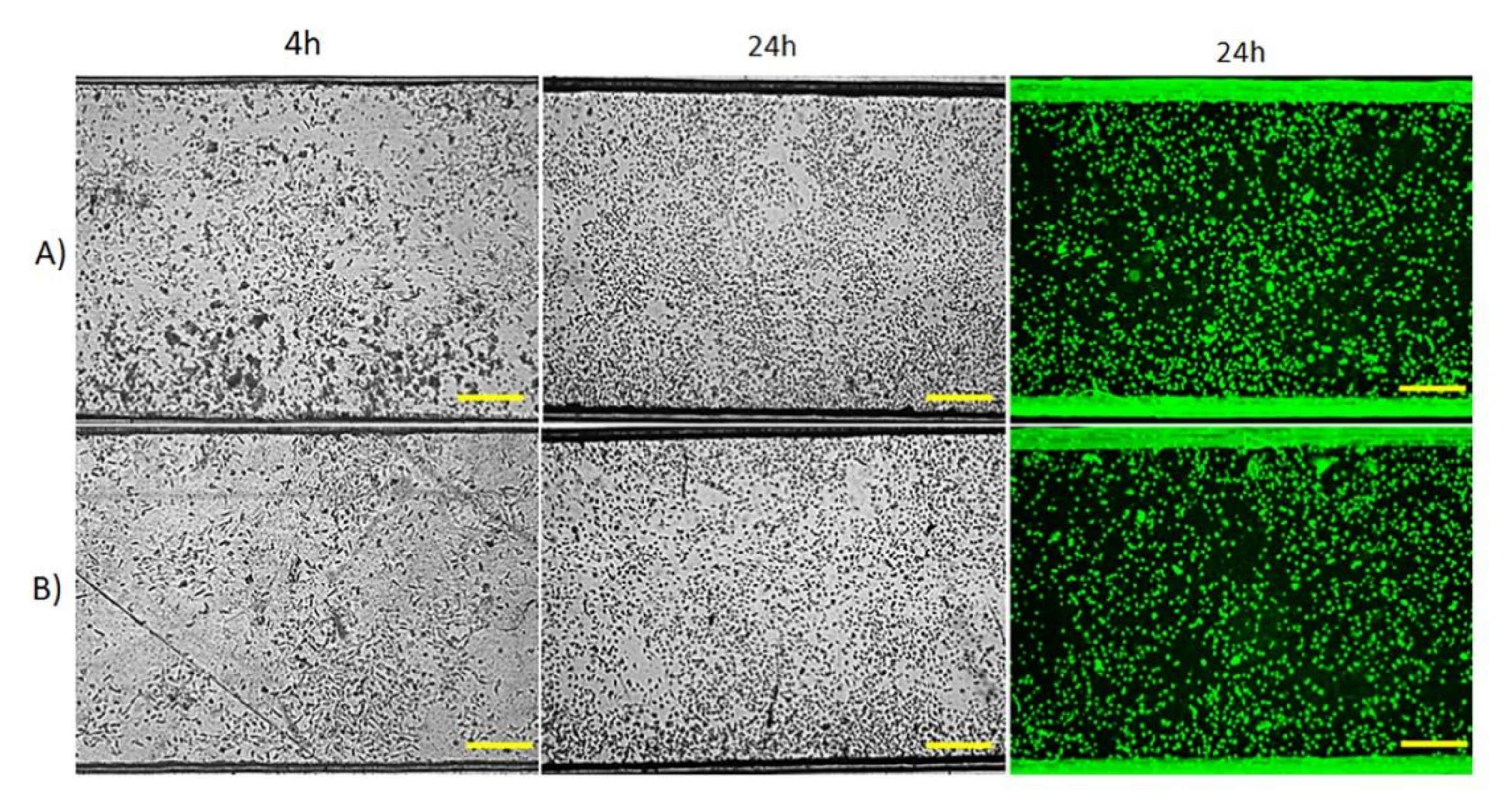 Micromachines 12 00346 g005