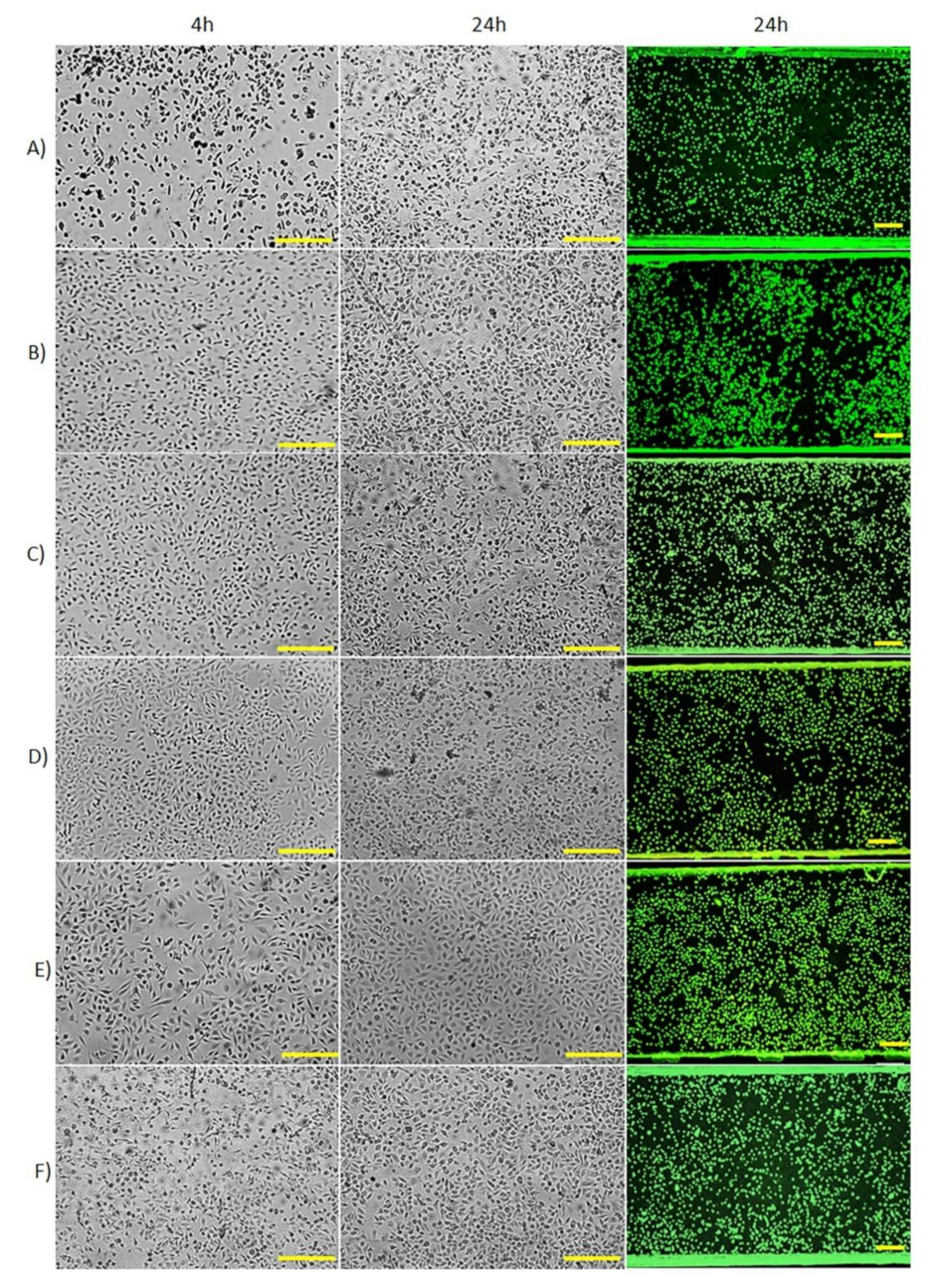 Micromachines 12 00346 g007