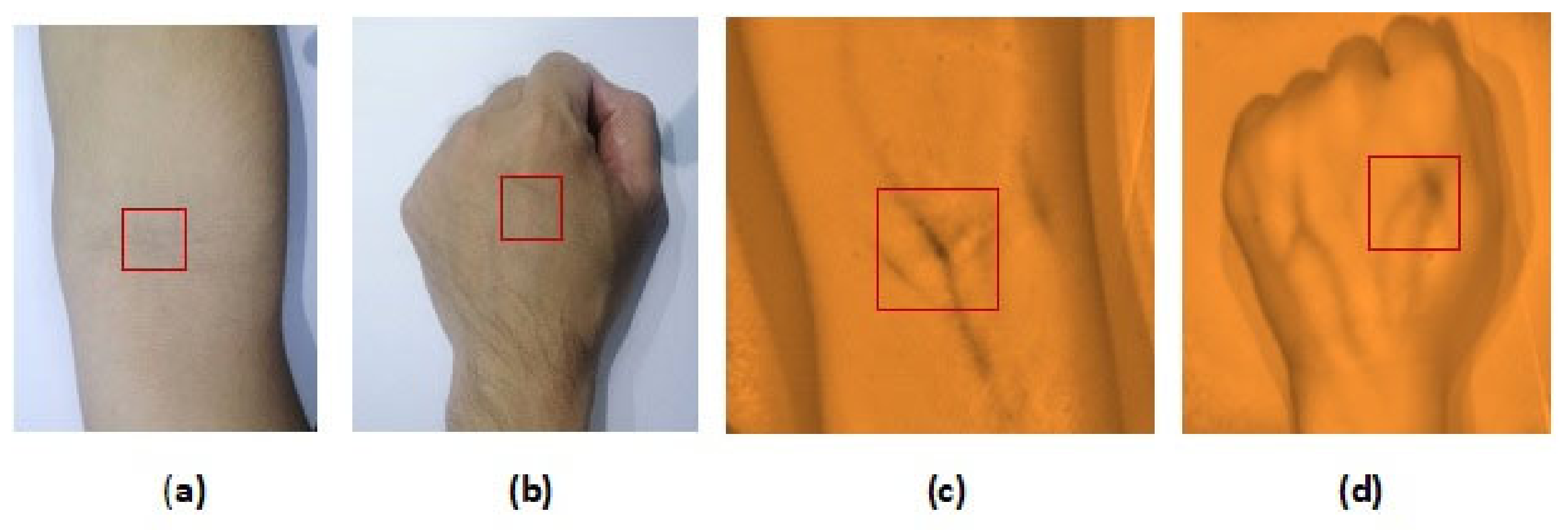 Micromachines 12 00373 g010