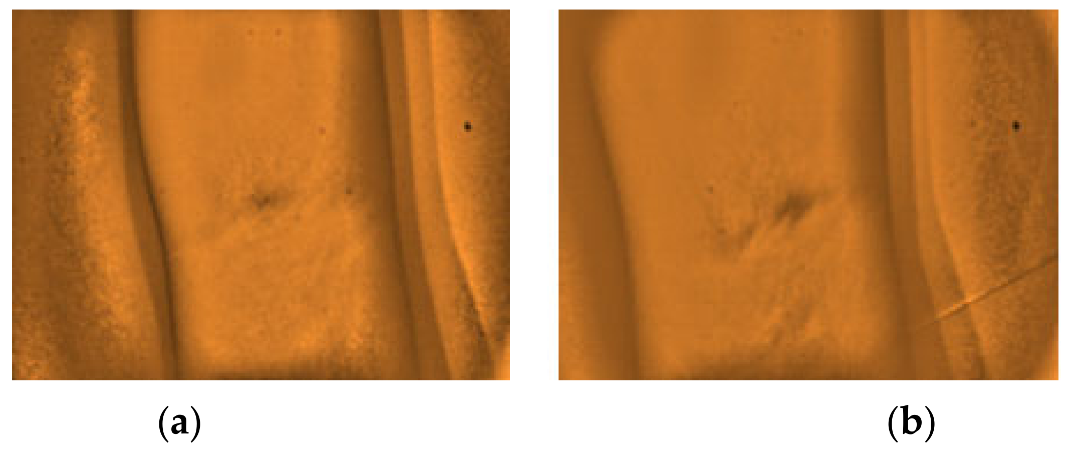 Micromachines 12 00373 g014