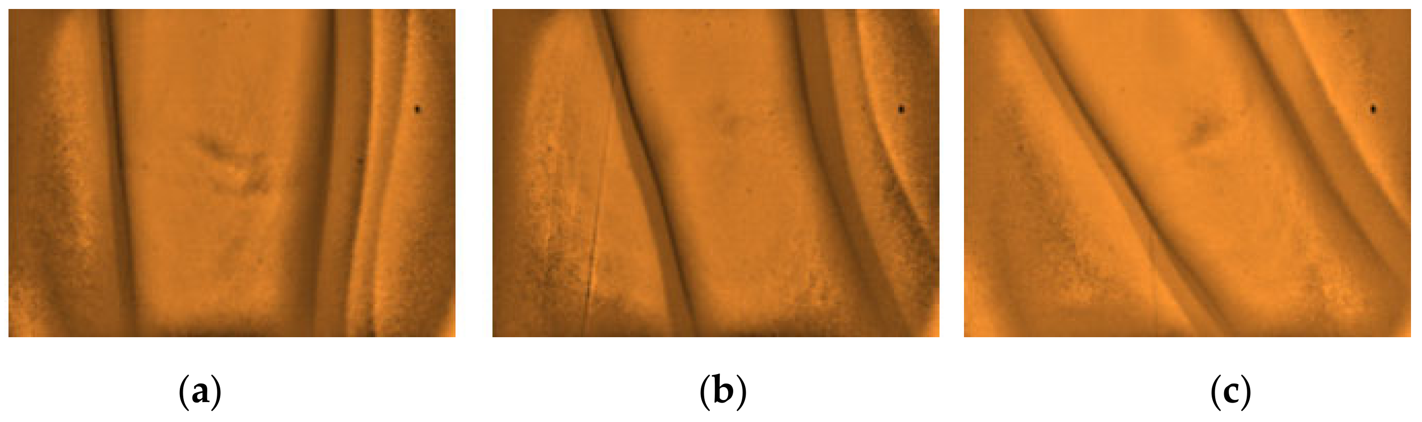 Micromachines 12 00373 g015