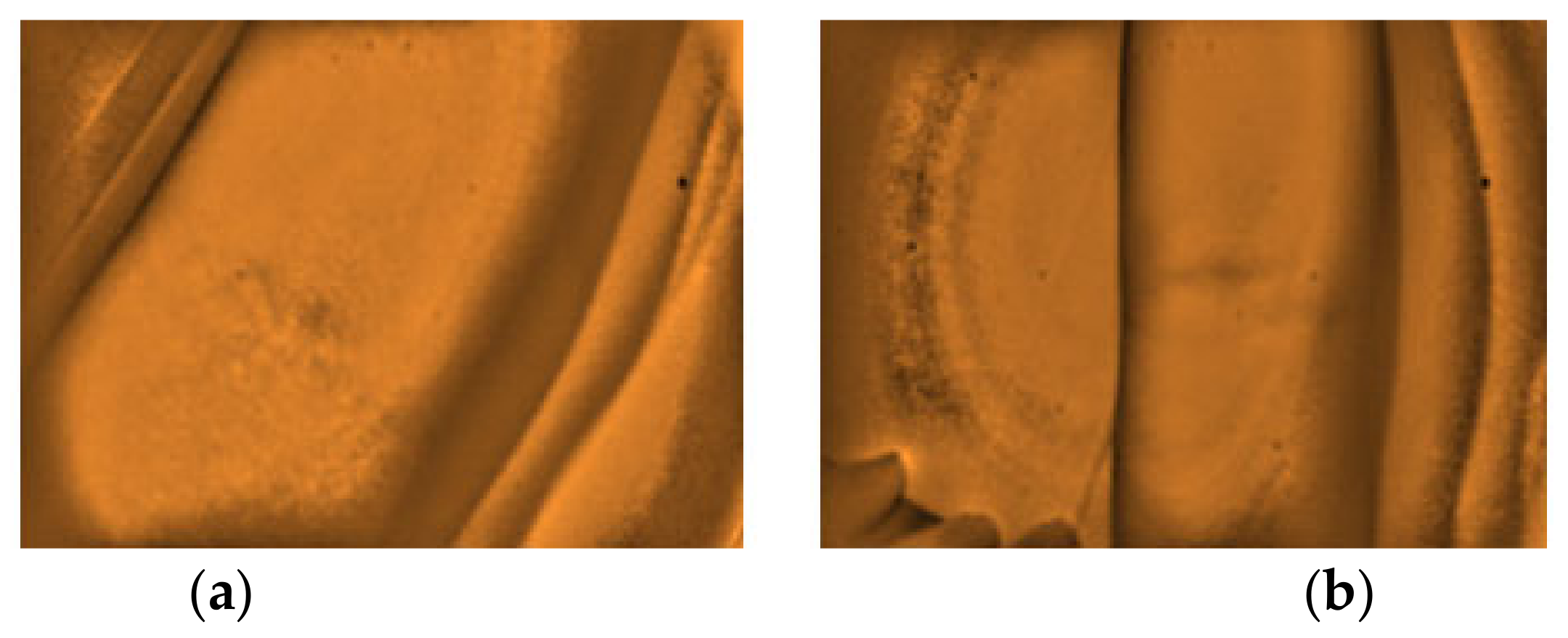 Micromachines 12 00373 g016