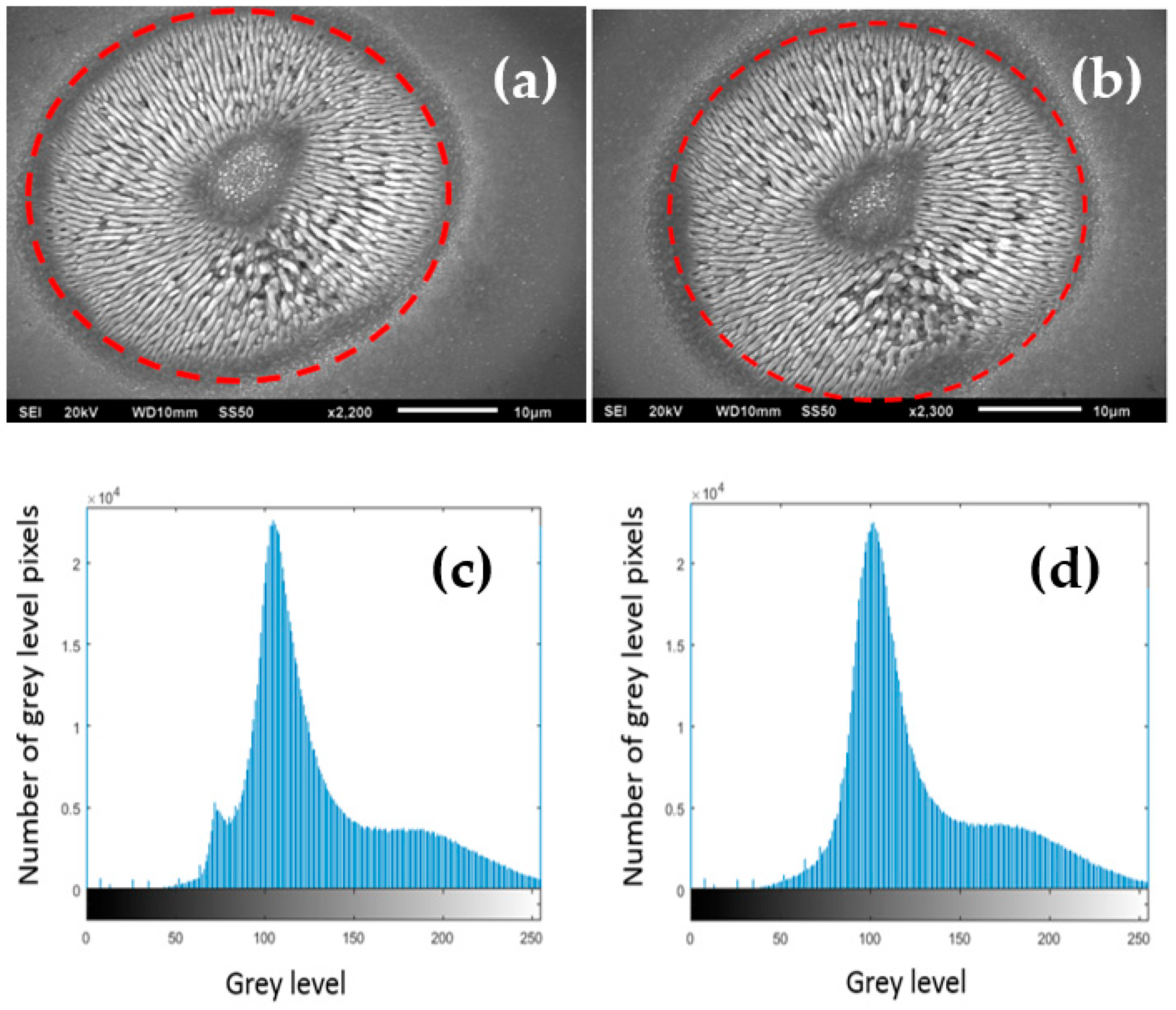 Micromachines 12 00376 g010