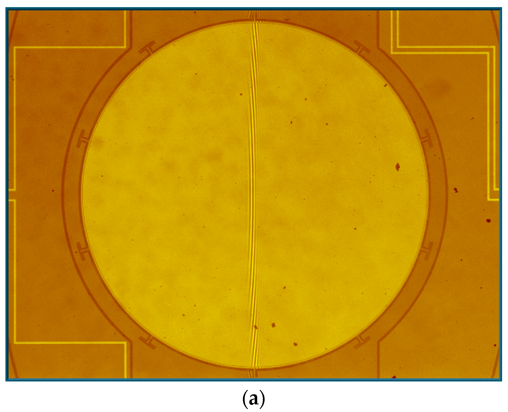 Micromachines 12 00378 g006a