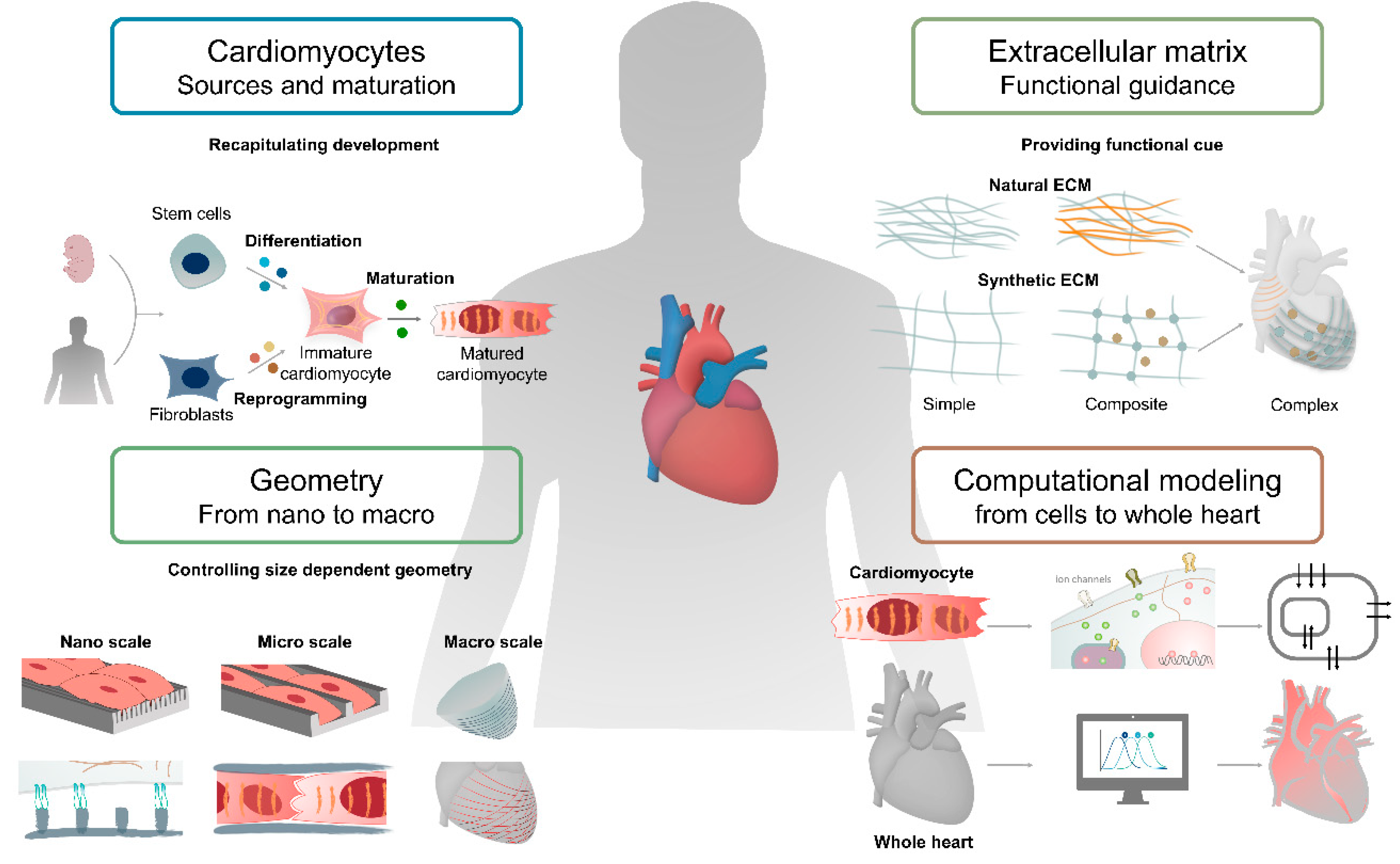 Micromachines 12 00386 g001 Micromachines 12 00386 g001
