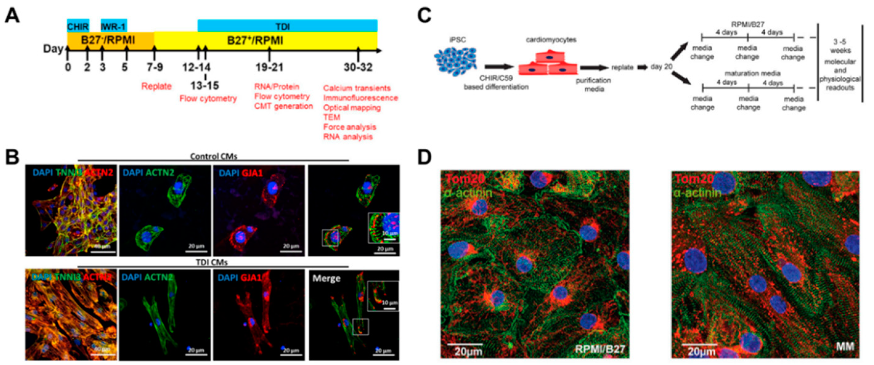 Micromachines 12 00386 g005 Micromachines 12 00386 g005