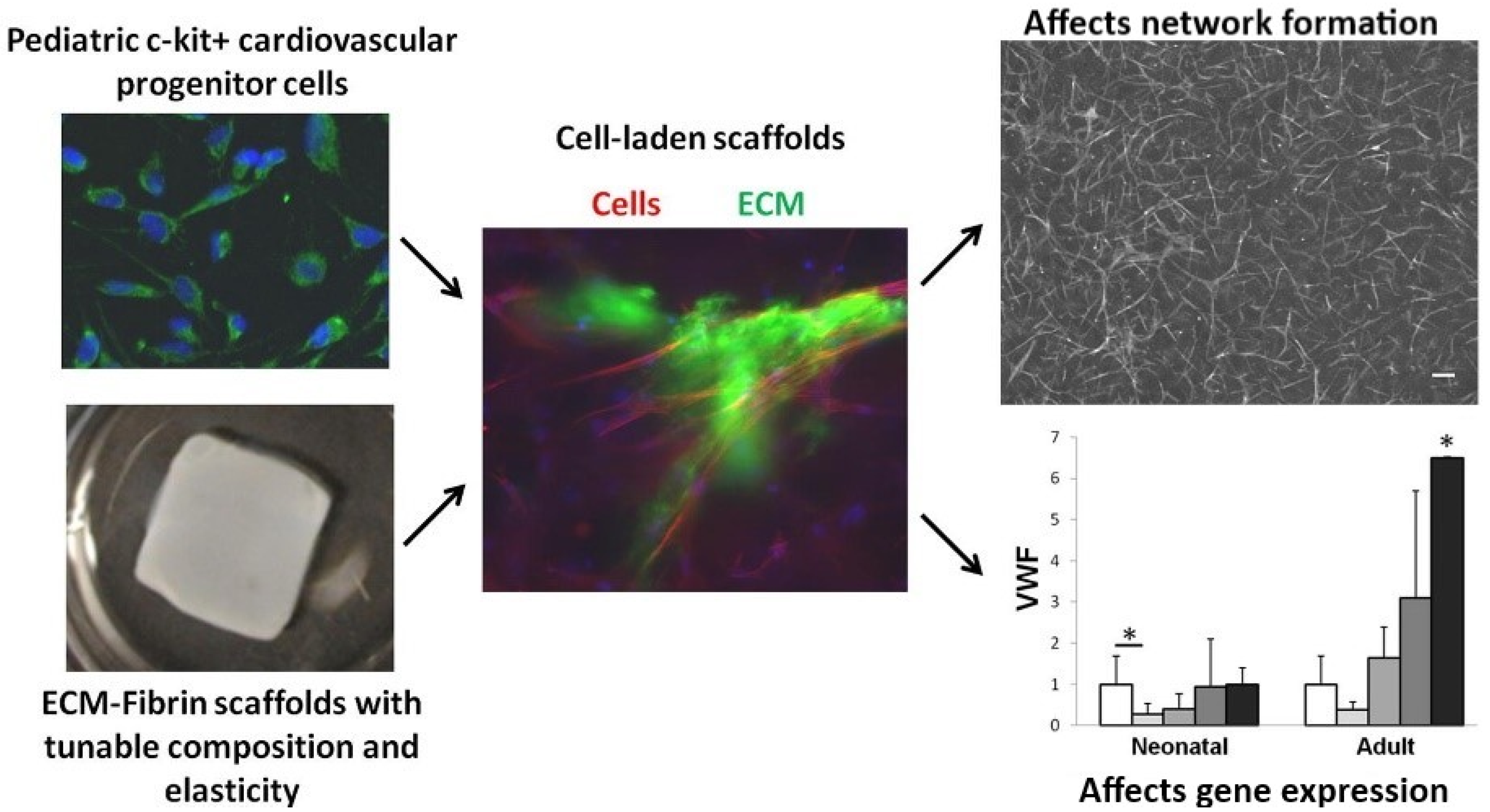 Micromachines 12 00386 g009 Micromachines 12 00386 g009