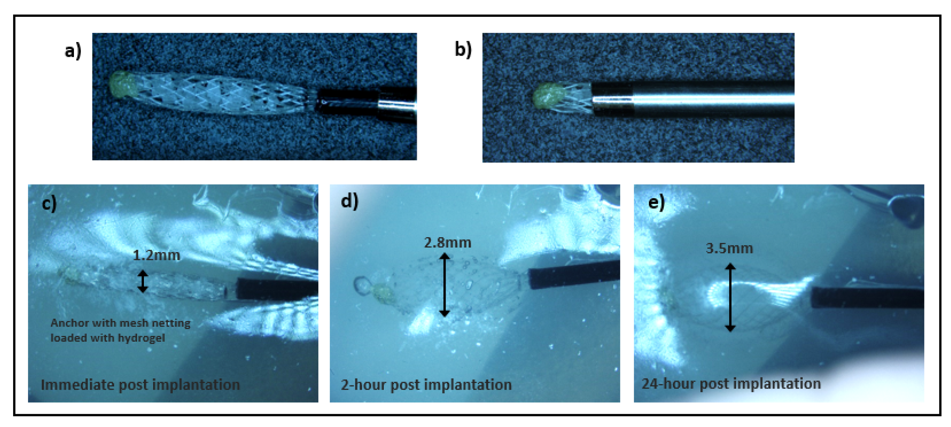 Micromachines 12 00404 g002