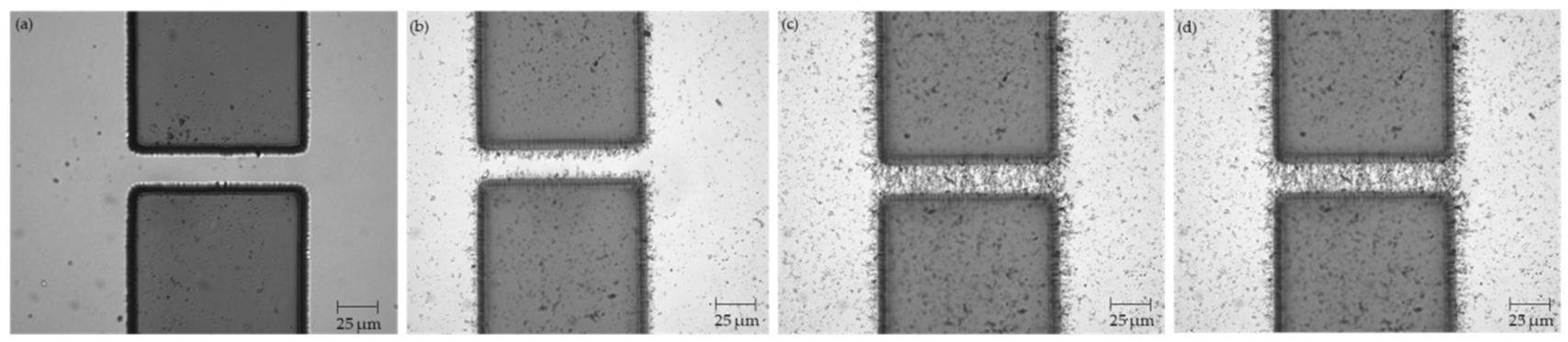 Micromachines 12 00405 g002 Micromachines 12 00405 g002