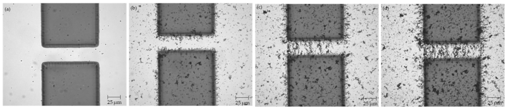 Micromachines 12 00405 g003 Micromachines 12 00405 g003
