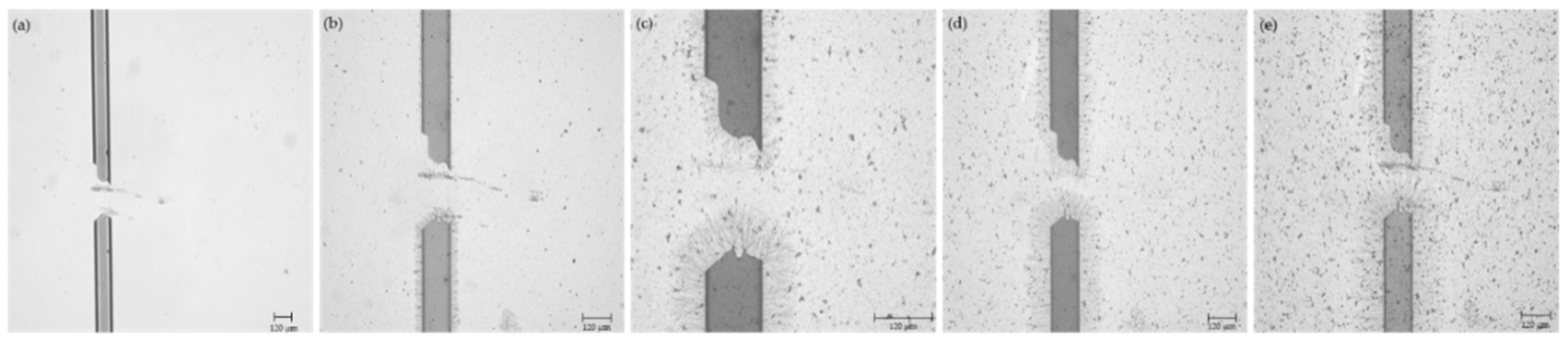 Micromachines 12 00405 g008 Micromachines 12 00405 g008