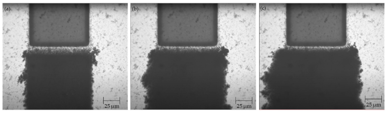 Micromachines 12 00405 g009 Micromachines 12 00405 g009