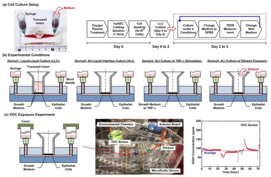 Micromachines Free Full Text Transwell Insert Embedded Microfluidic Devices For Time Lapse Monitoring Of Alveolar Epithelium Barrier Function Under Various Stimulations Html Micromachines Free Full Text Transwell Insert Embedded Microfluidic Devices For Time Lapse Monitoring Of Alveolar Epithelium Barrier Function Under Various Stimulations Html