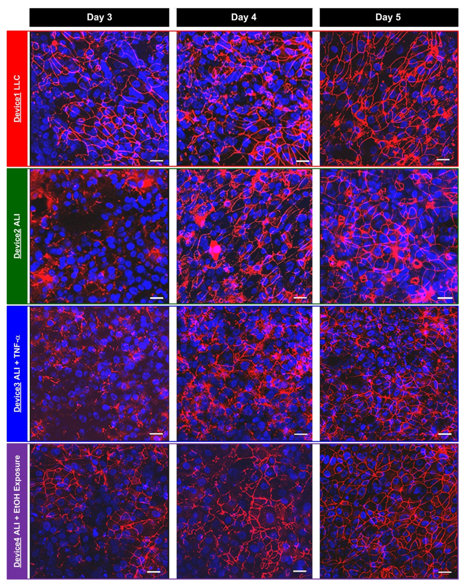Micromachines 12 00406 g006