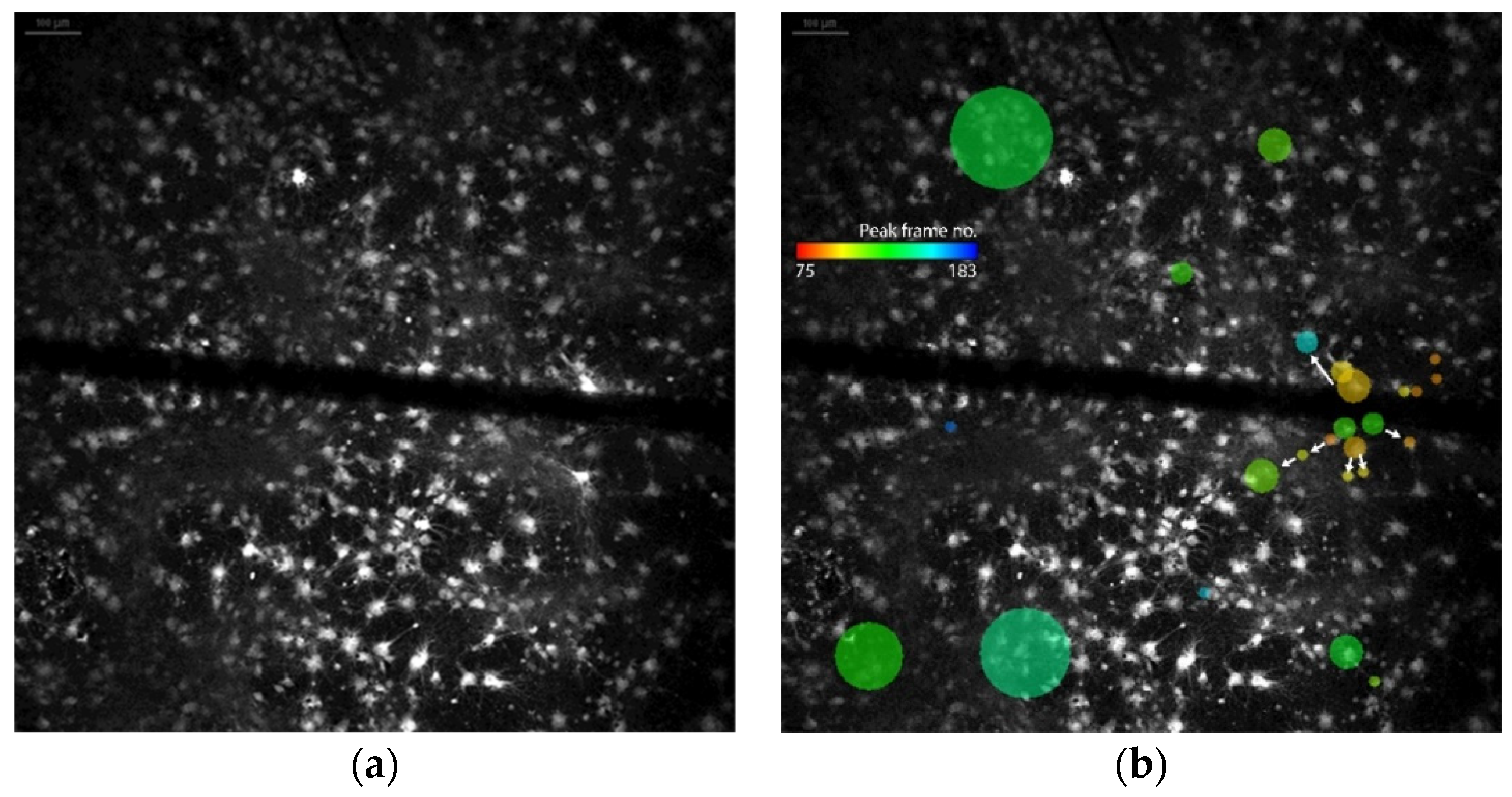 Micromachines 12 00412 g004 Micromachines 12 00412 g004