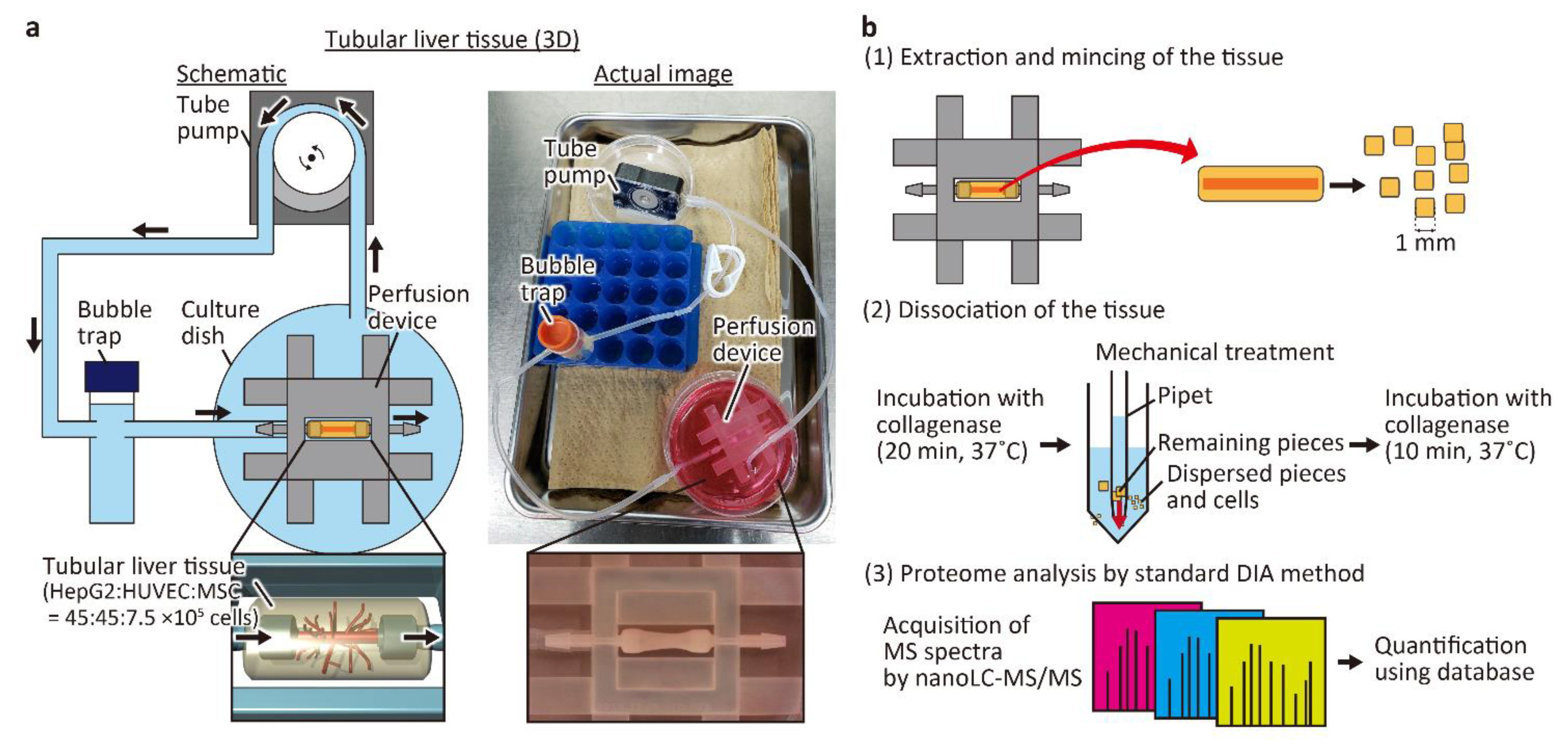 Micromachines 12 00418 g001 Micromachines 12 00418 g001