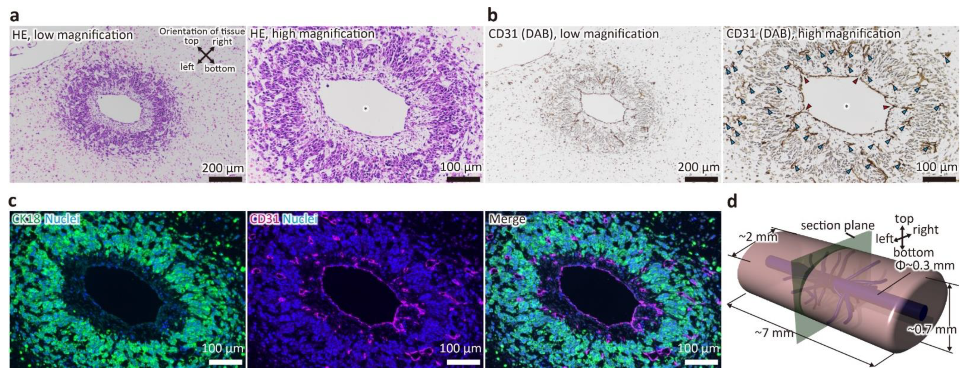 Micromachines 12 00418 g002 Micromachines 12 00418 g002