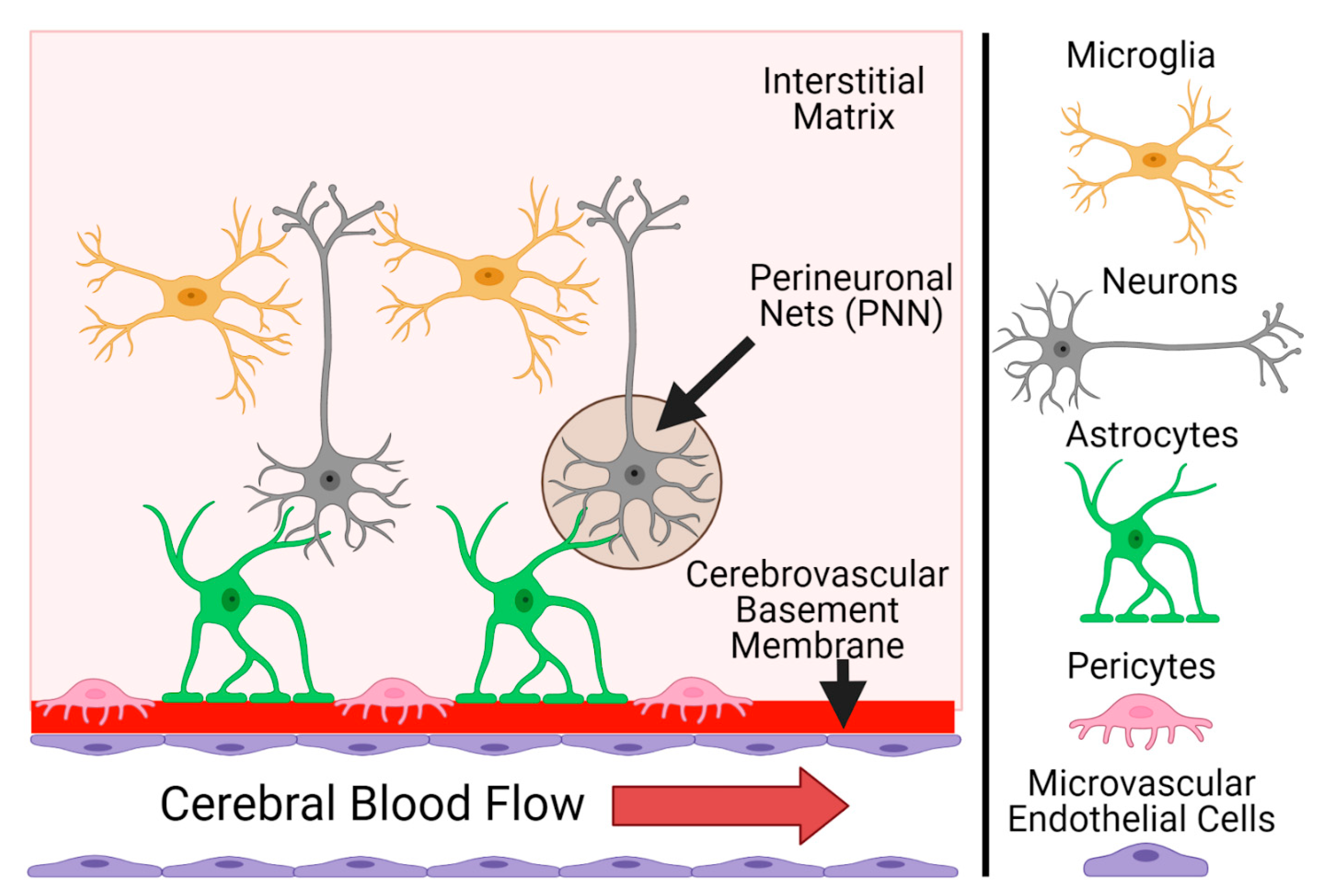 Micromachines 12 00441 g005