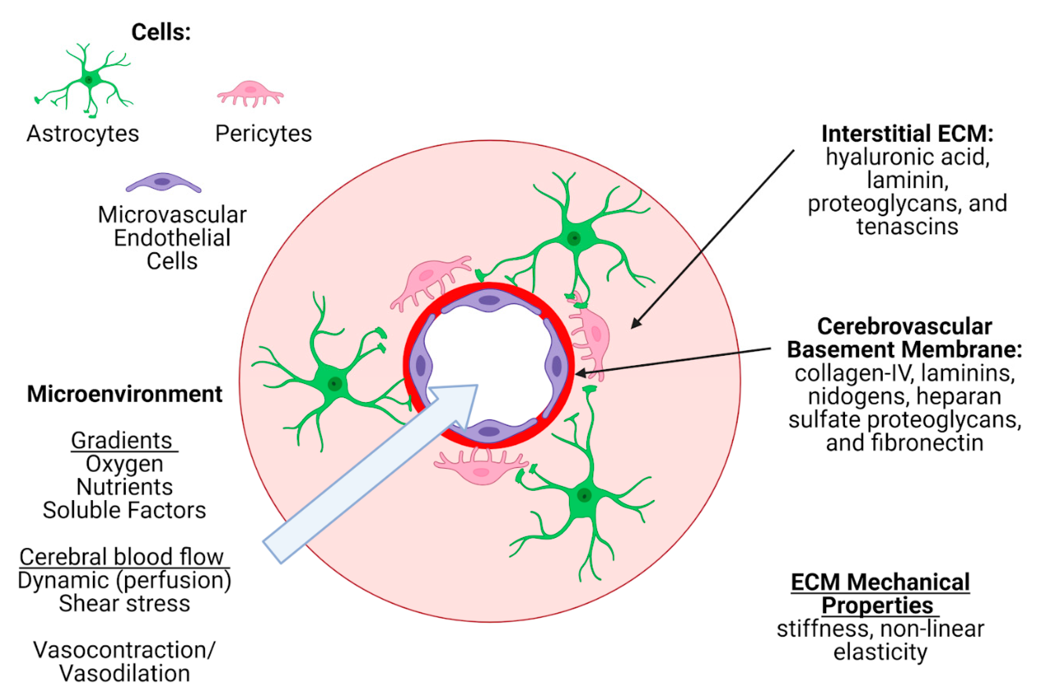 Micromachines 12 00441 g006