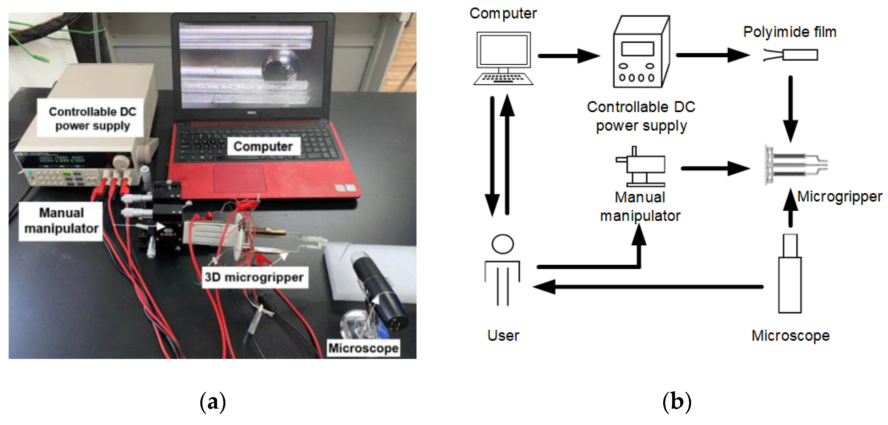 Micromachines 12 00444 g005