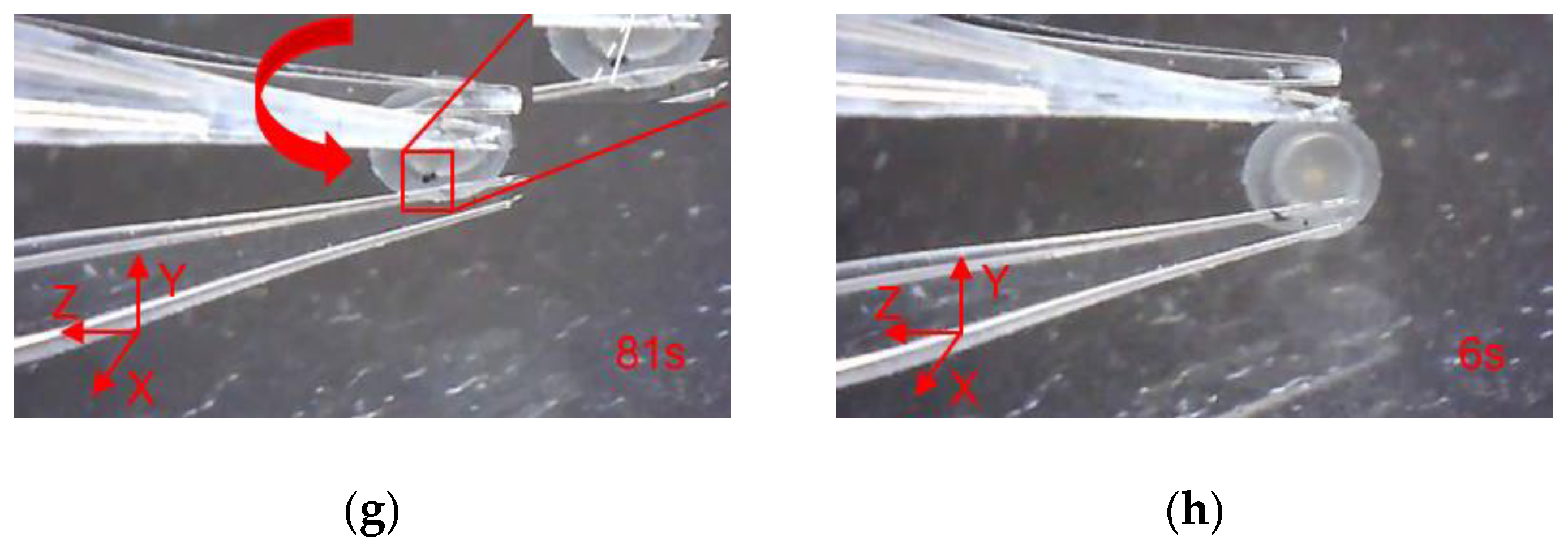 Micromachines 12 00444 g019b