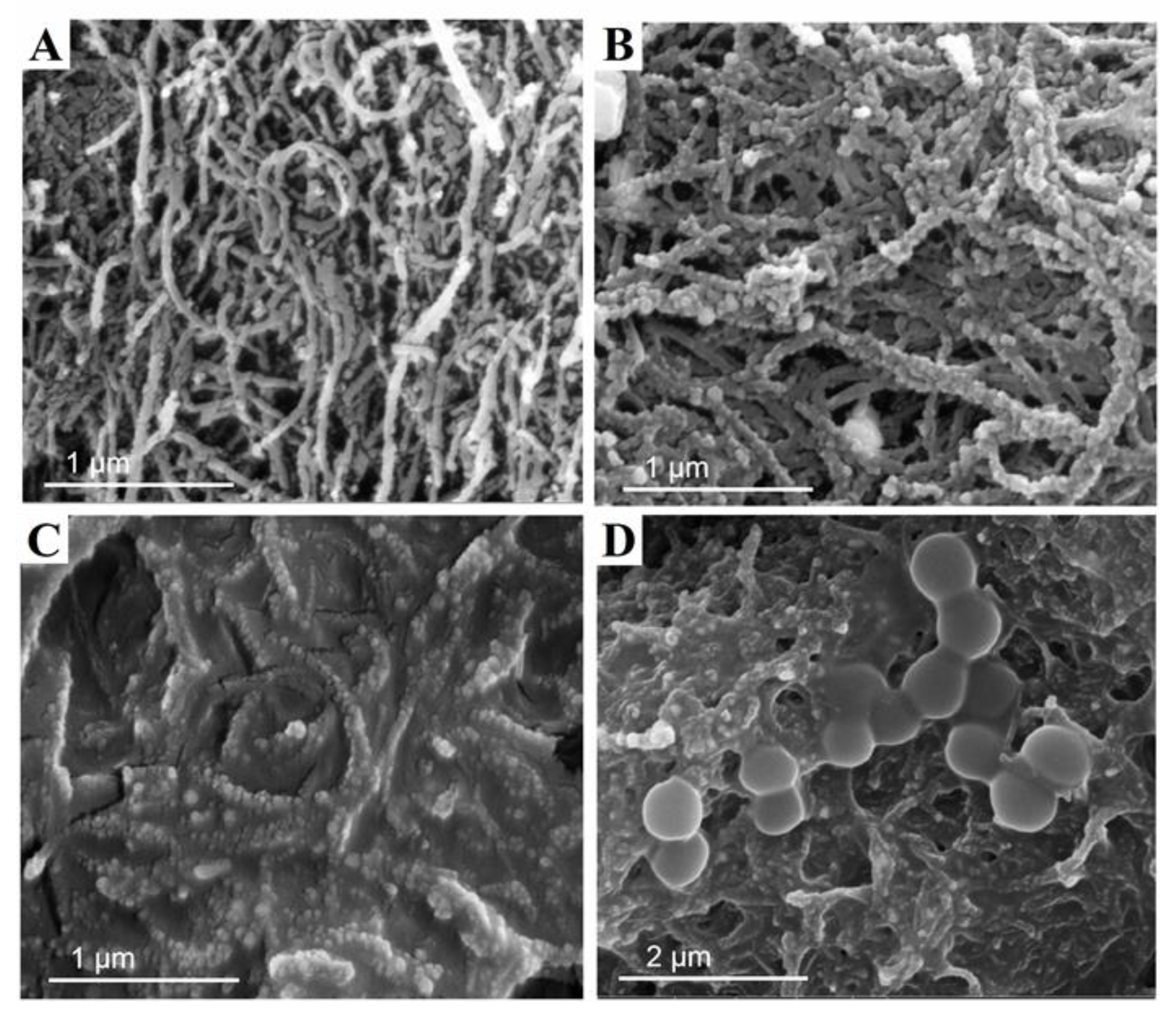 Micromachines 12 00446 g002 Micromachines 12 00446 g002