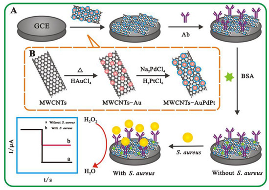 Development of Highly Sensitive Immunosensor for Detection