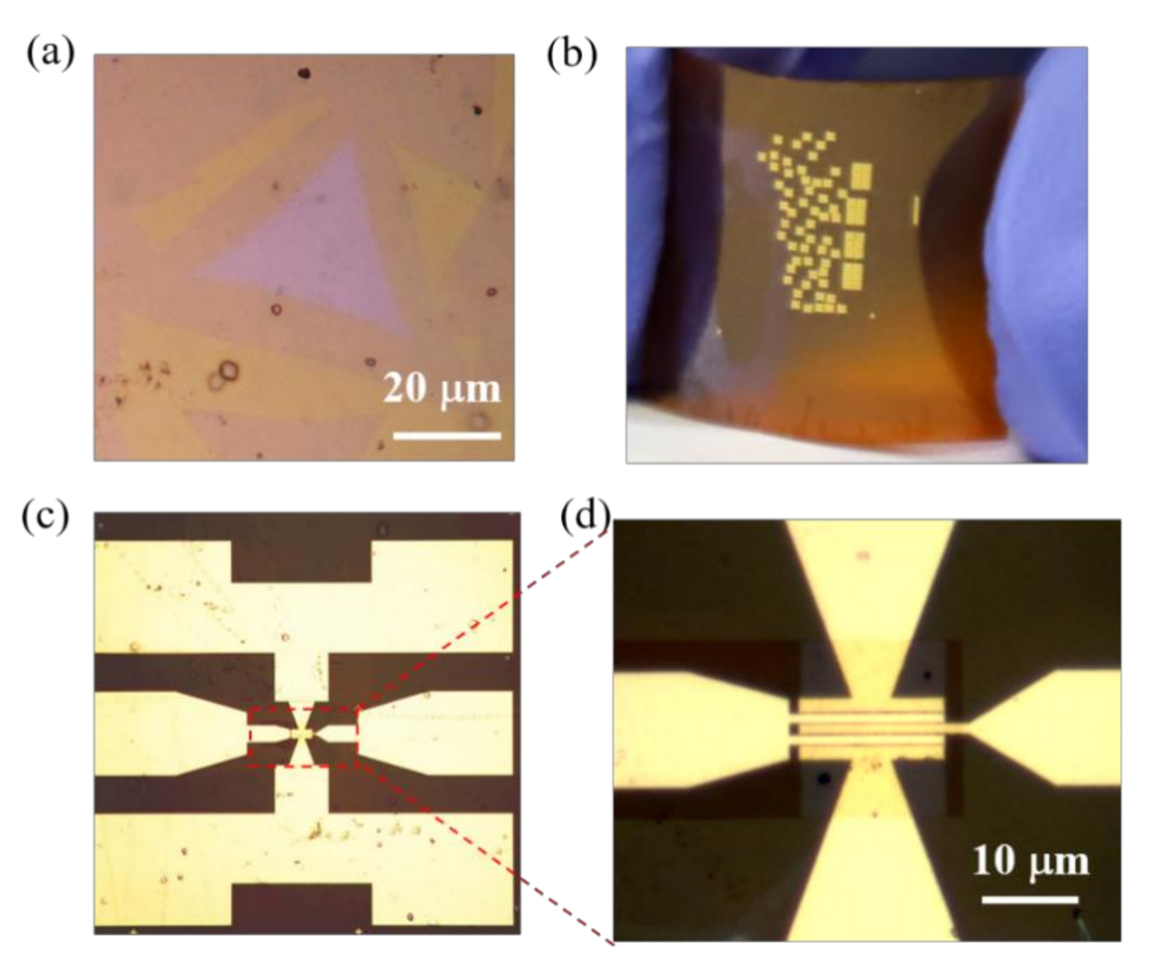Micromachines 12 00451 g003
