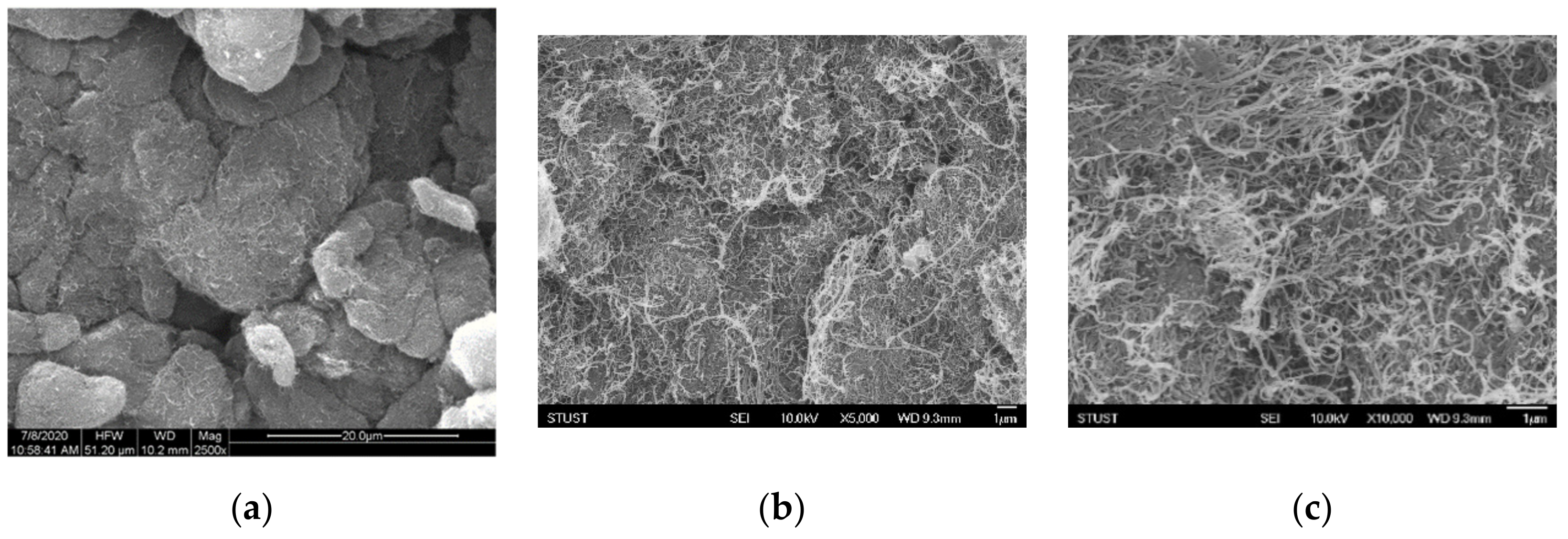 Micromachines 12 00452 g010