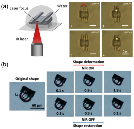 Tethered and Untethered 3D Microactuators Fabricated by Two