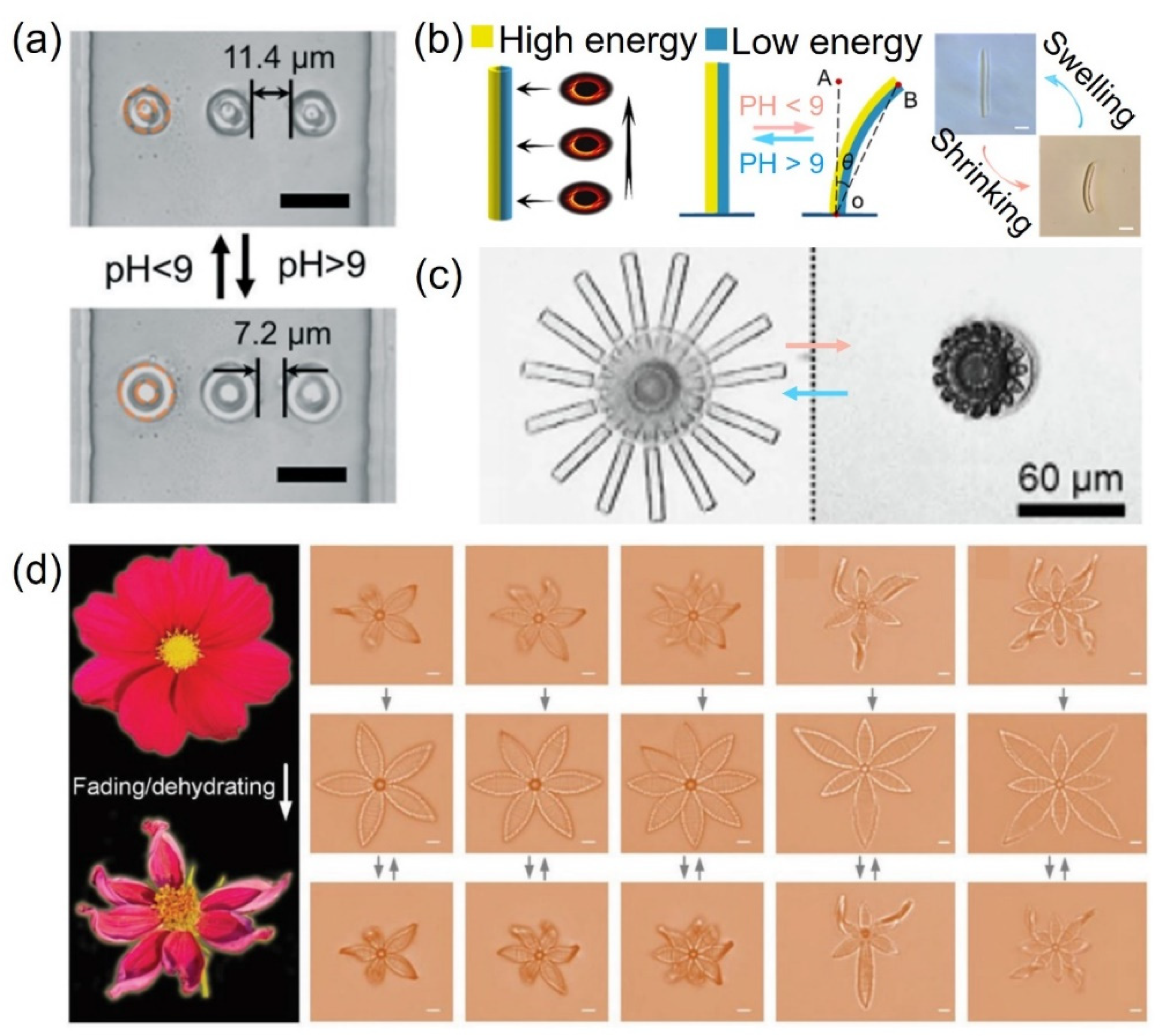 Micromachines 12 00465 g004 Micromachines 12 00465 g004