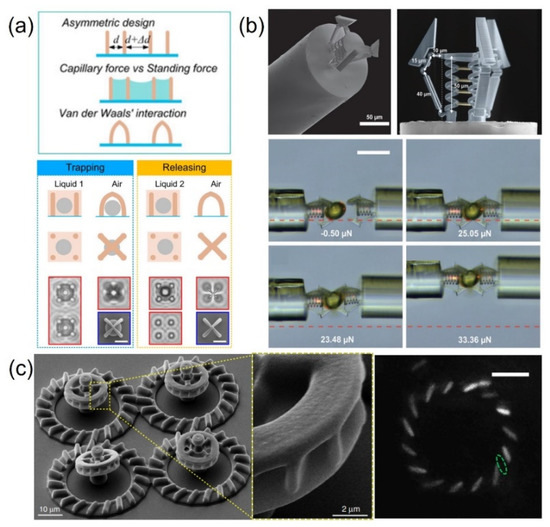 シャフト Tethered and Untethered 3D Microactuators Fabricated by Two