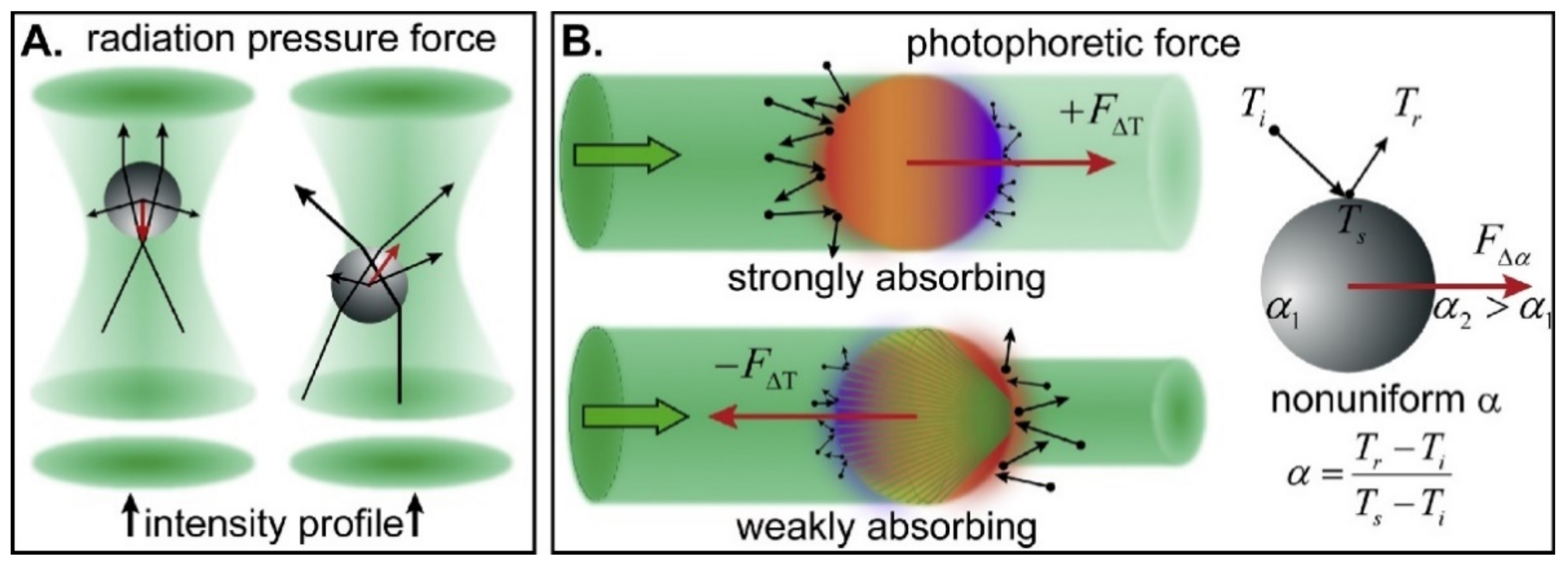 Size Dependence of Liquid–Liquid Phase Separation by in Situ Study of  Flowing Submicron Aerosol Particles