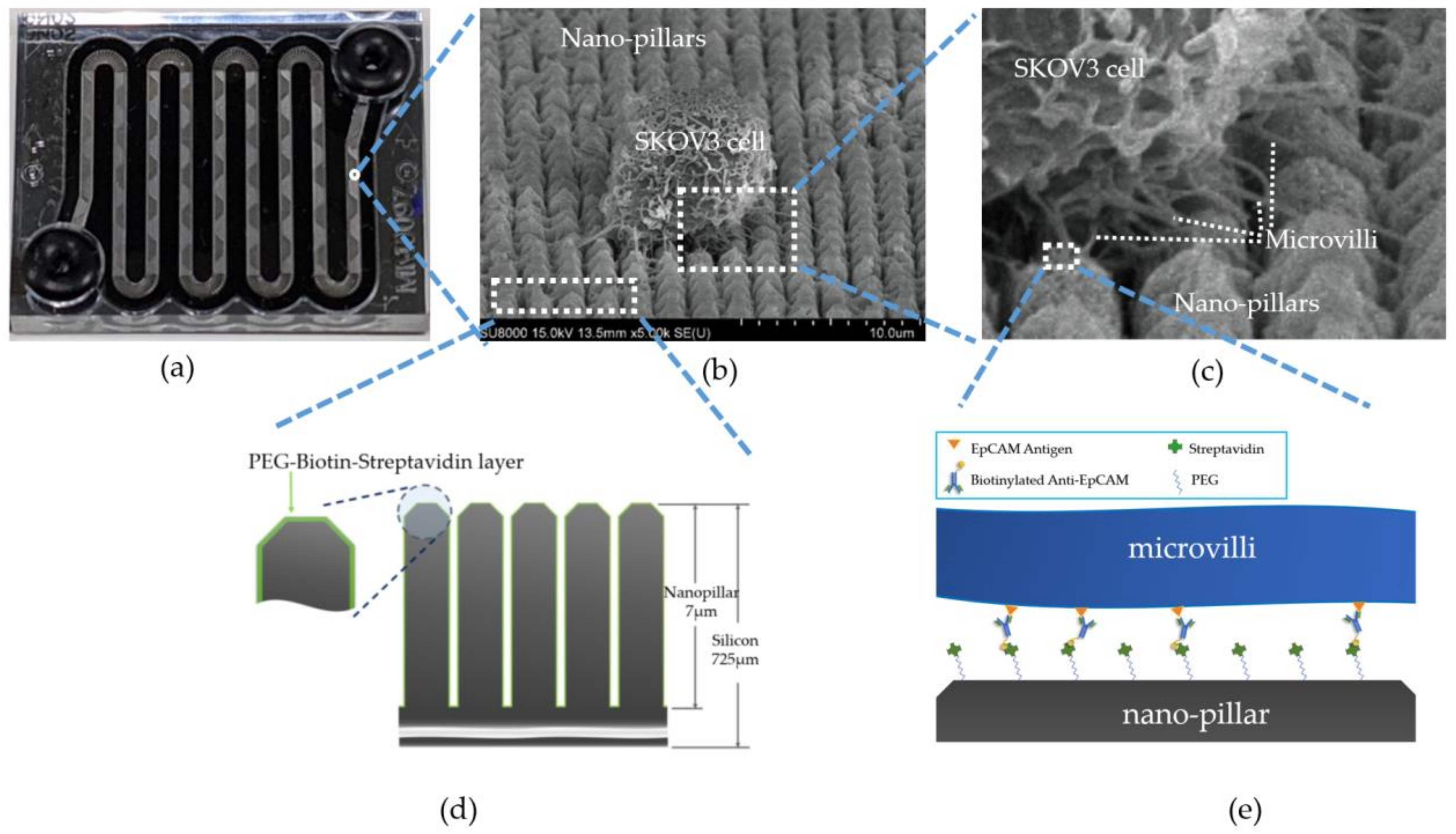 Micromachines 12 00473 g001 Micromachines 12 00473 g001