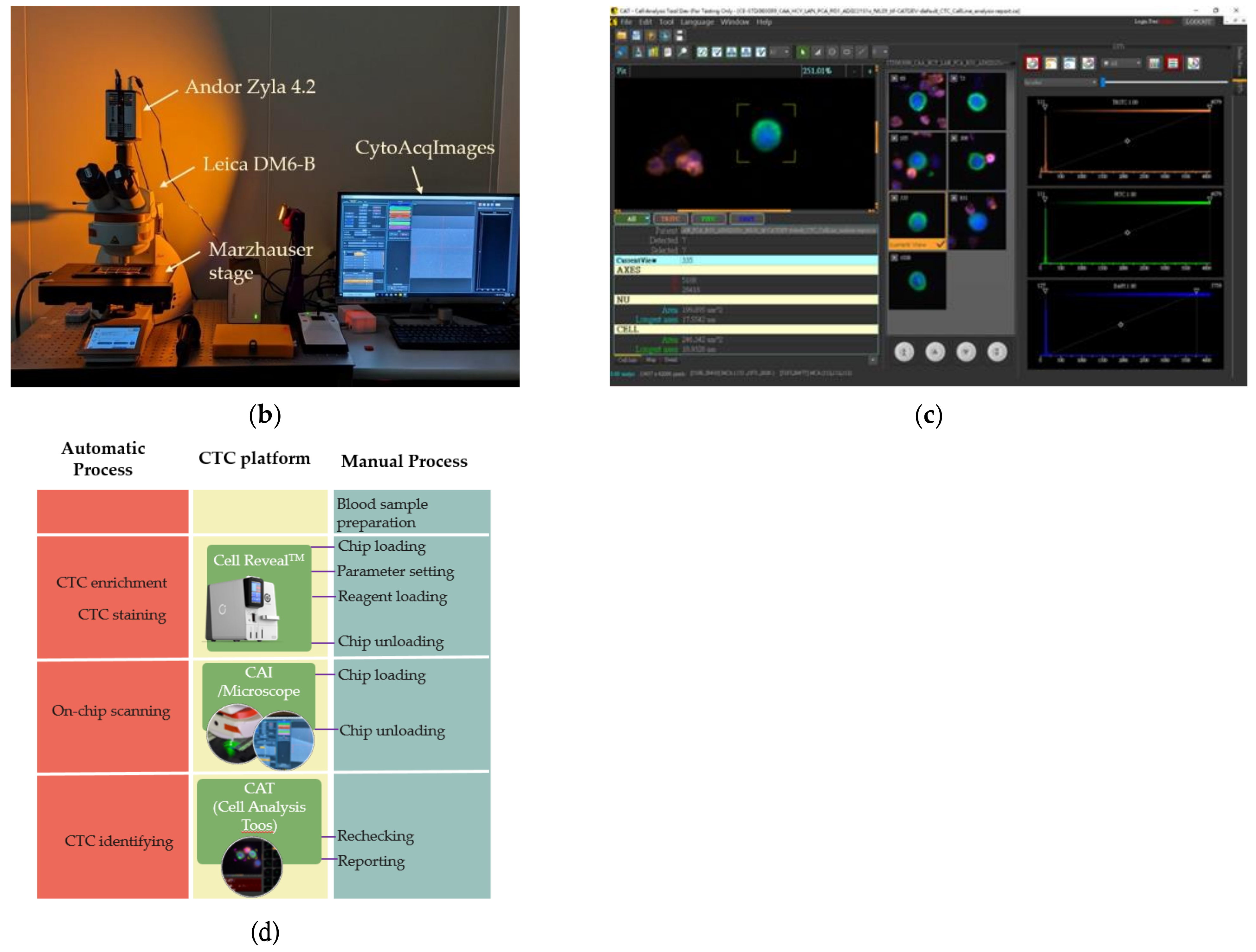 Micromachines 12 00473 g002b Micromachines 12 00473 g002b
