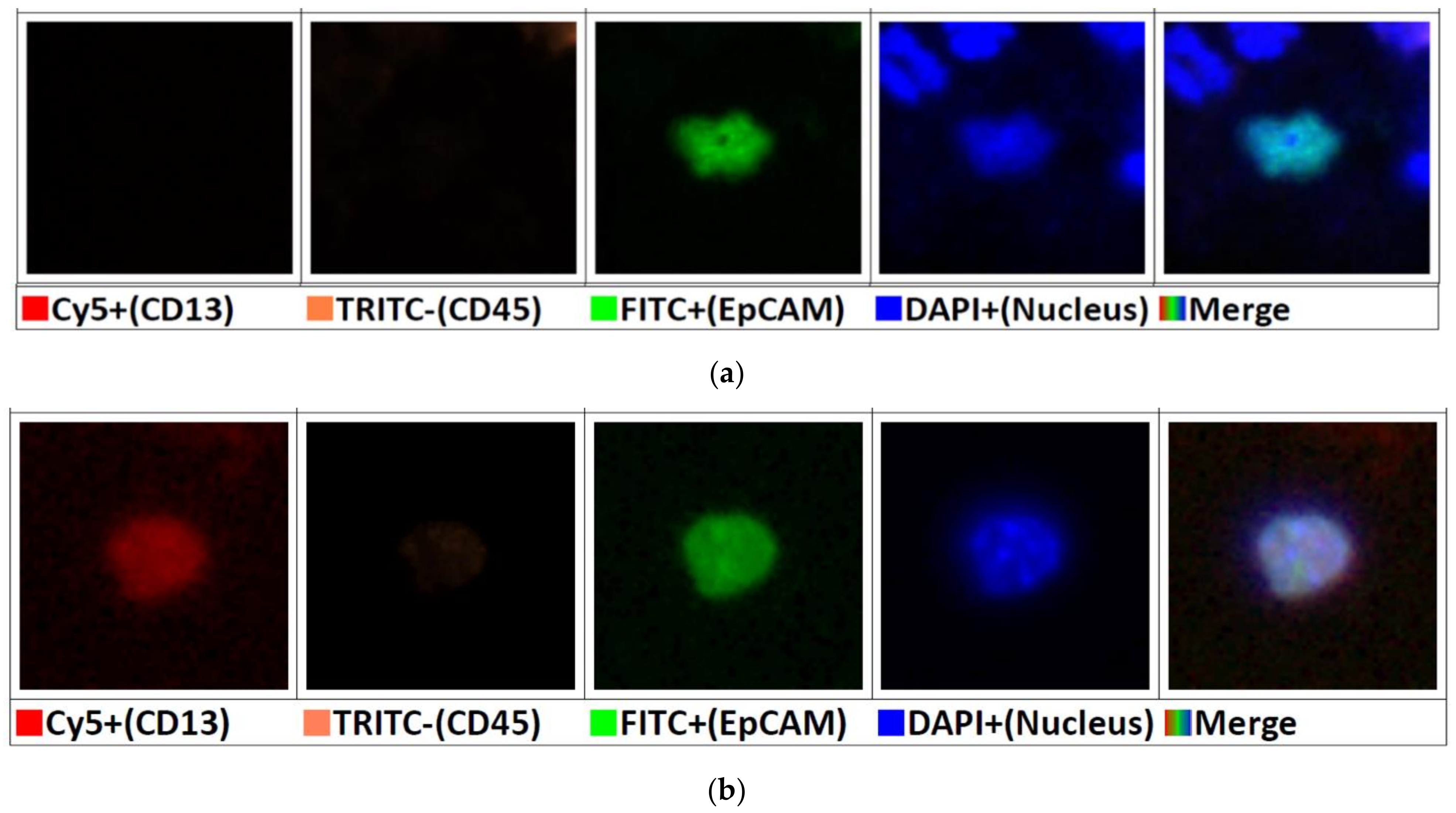 Micromachines 12 00473 g003 Micromachines 12 00473 g003