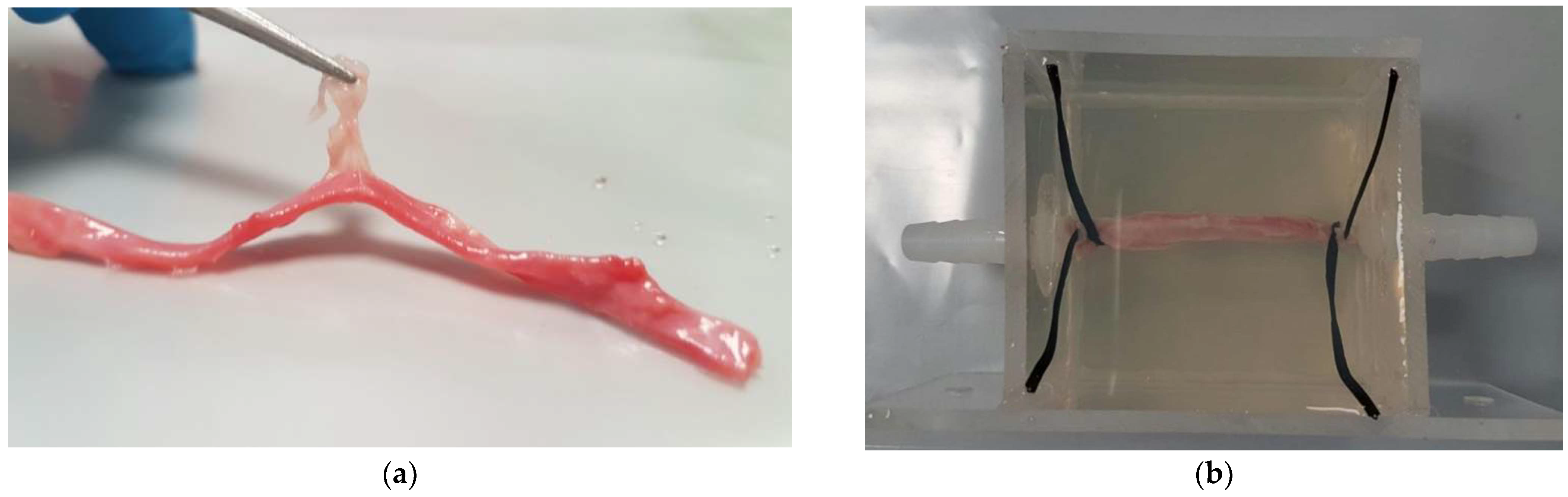 Micromachines 12 00485 g001