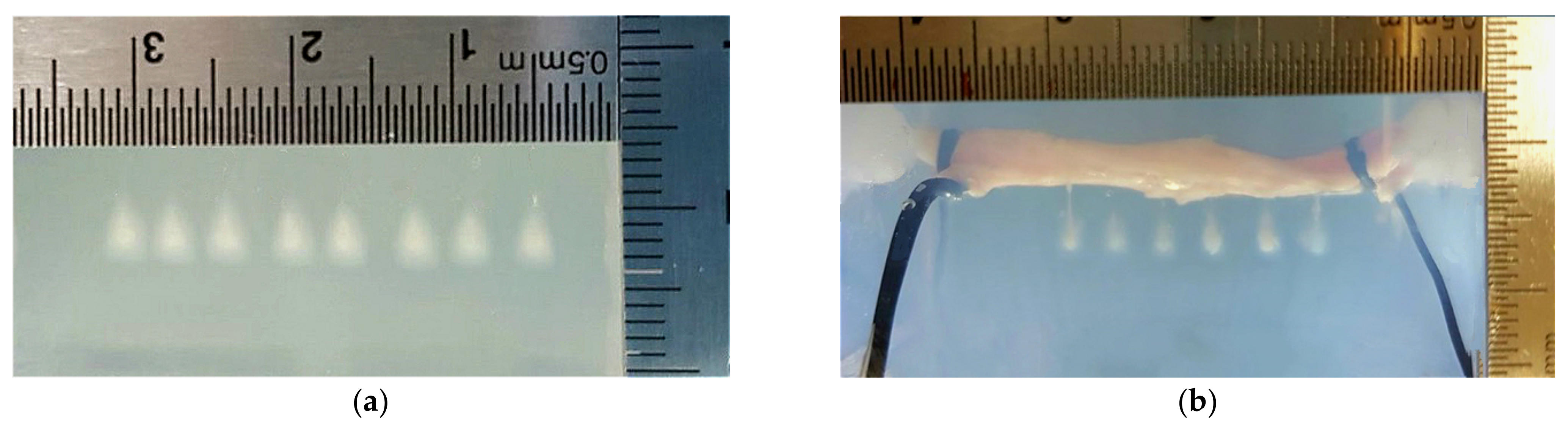 Micromachines 12 00485 g003a