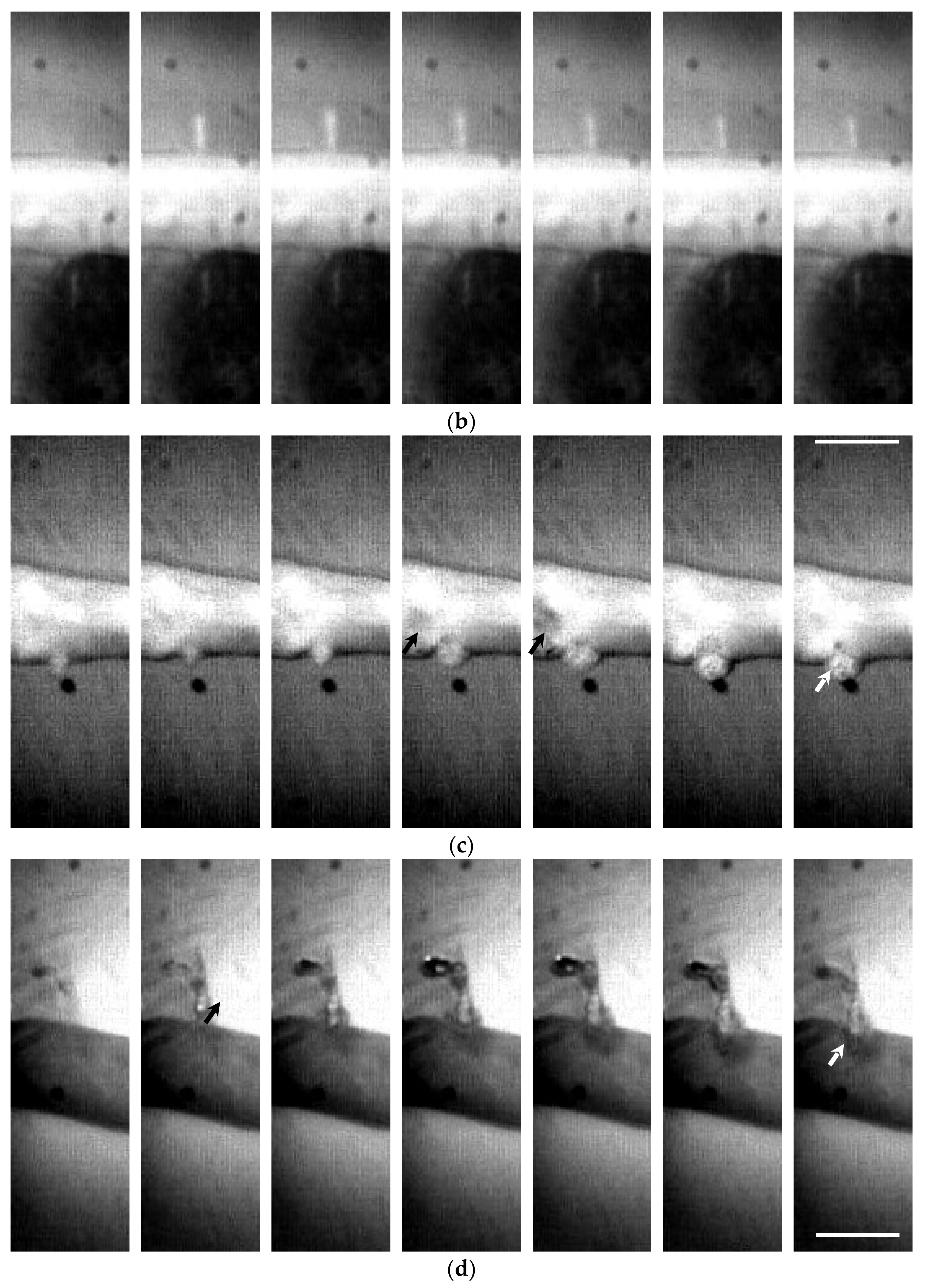 Micromachines 12 00485 g005b