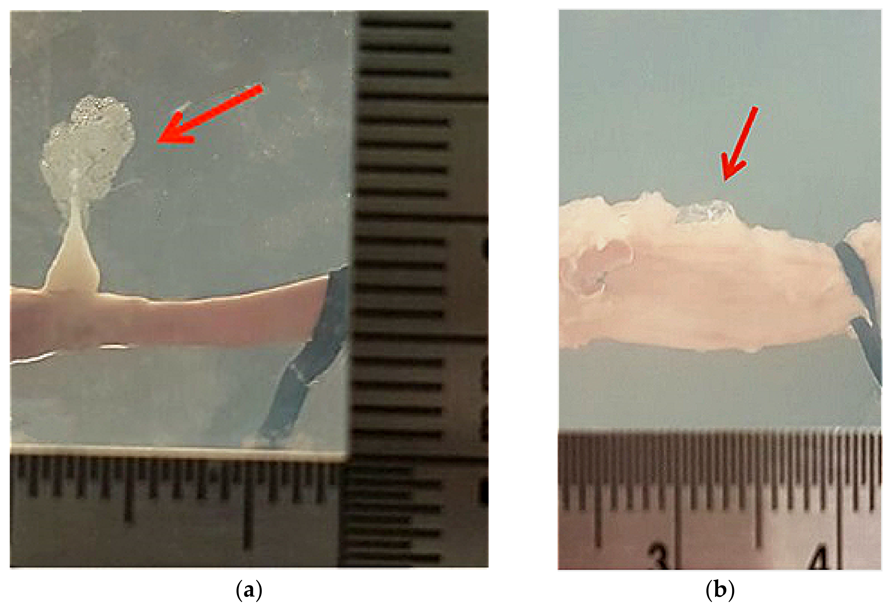 Micromachines 12 00485 g008