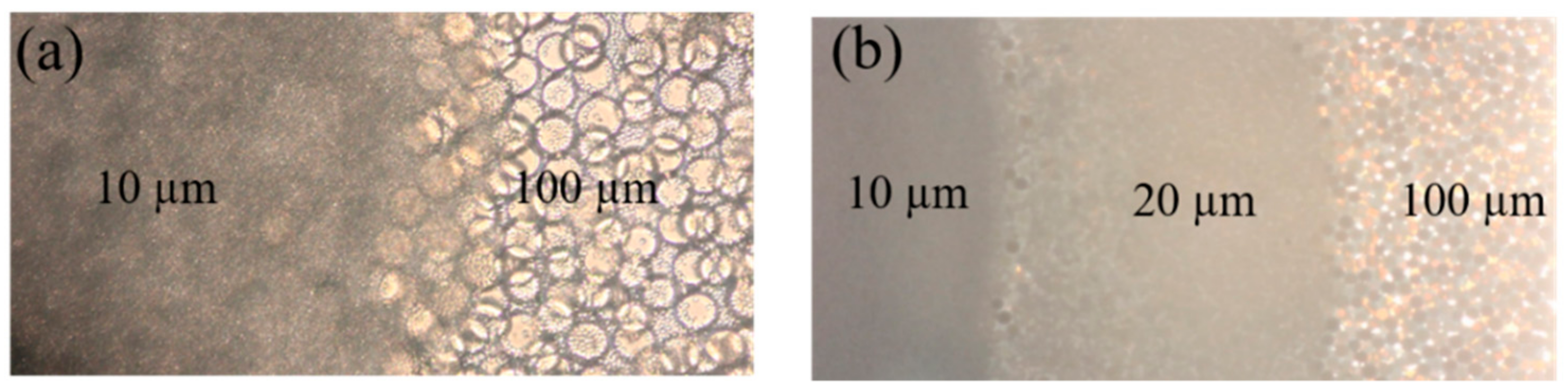Micromachines 12 00487 g002 Micromachines 12 00487 g002