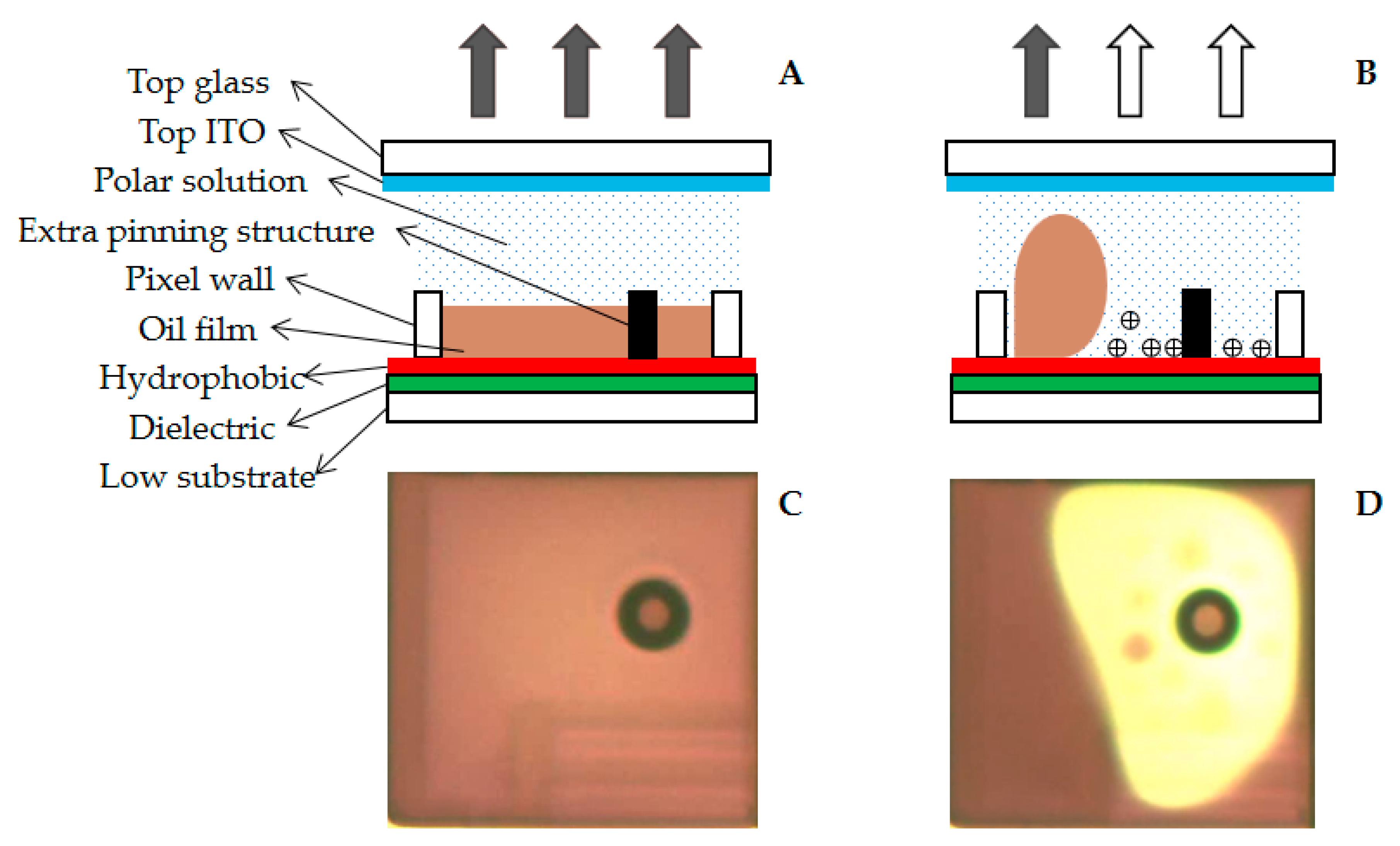 Micromachines 12 00491 g001 Micromachines 12 00491 g001