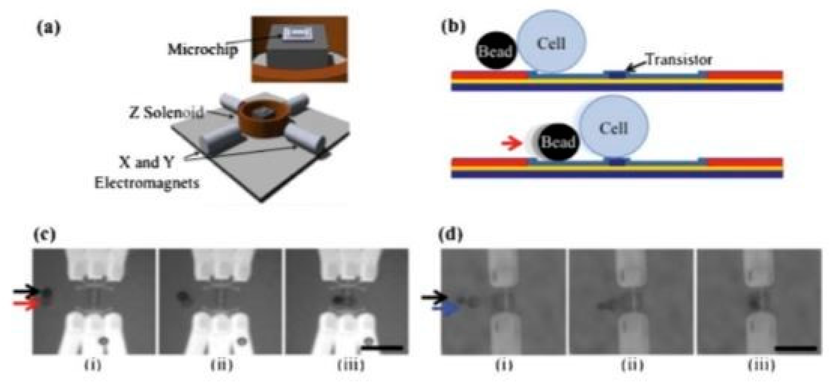 Micromachines 12 00498 g019