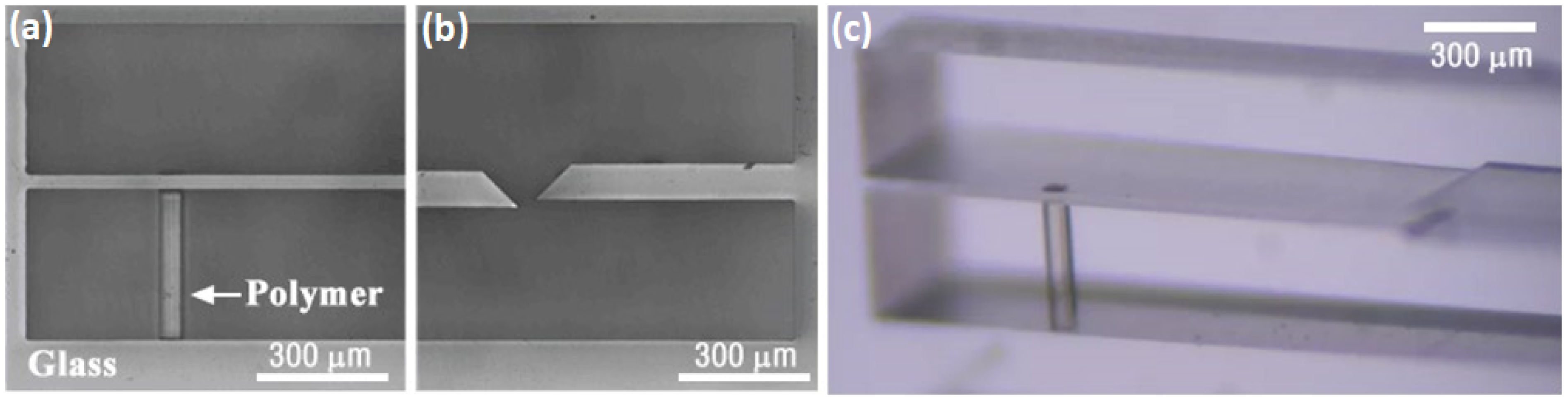 Micromachines 12 00499 g009