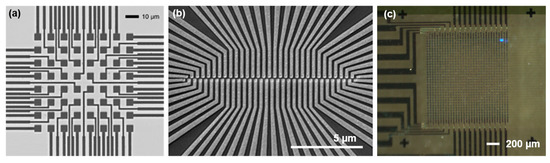 A Novel Approach for a Chip-Sized Scanning Optical Microscope