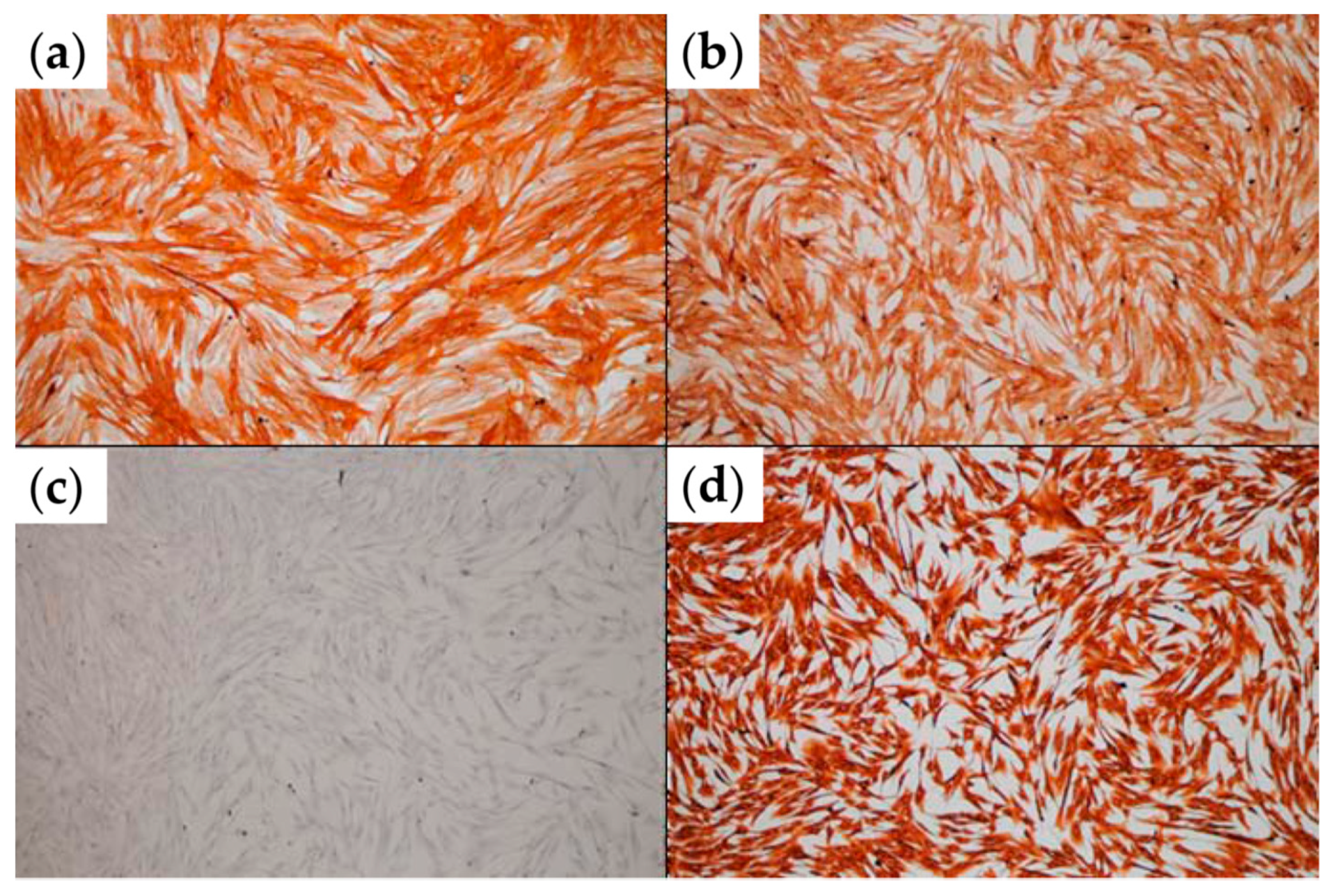 Micromachines 12 00535 g002