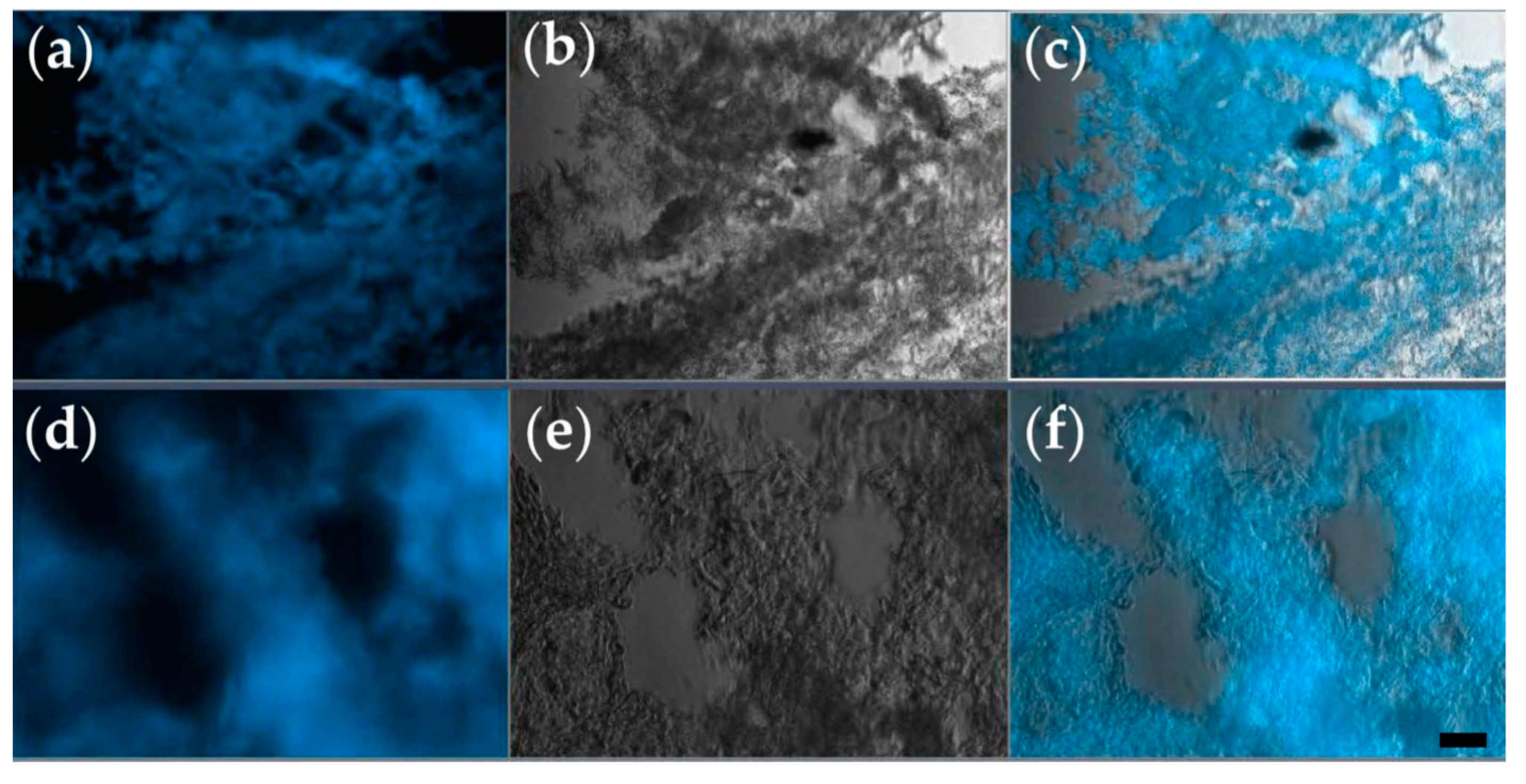 Micromachines 12 00535 g003
