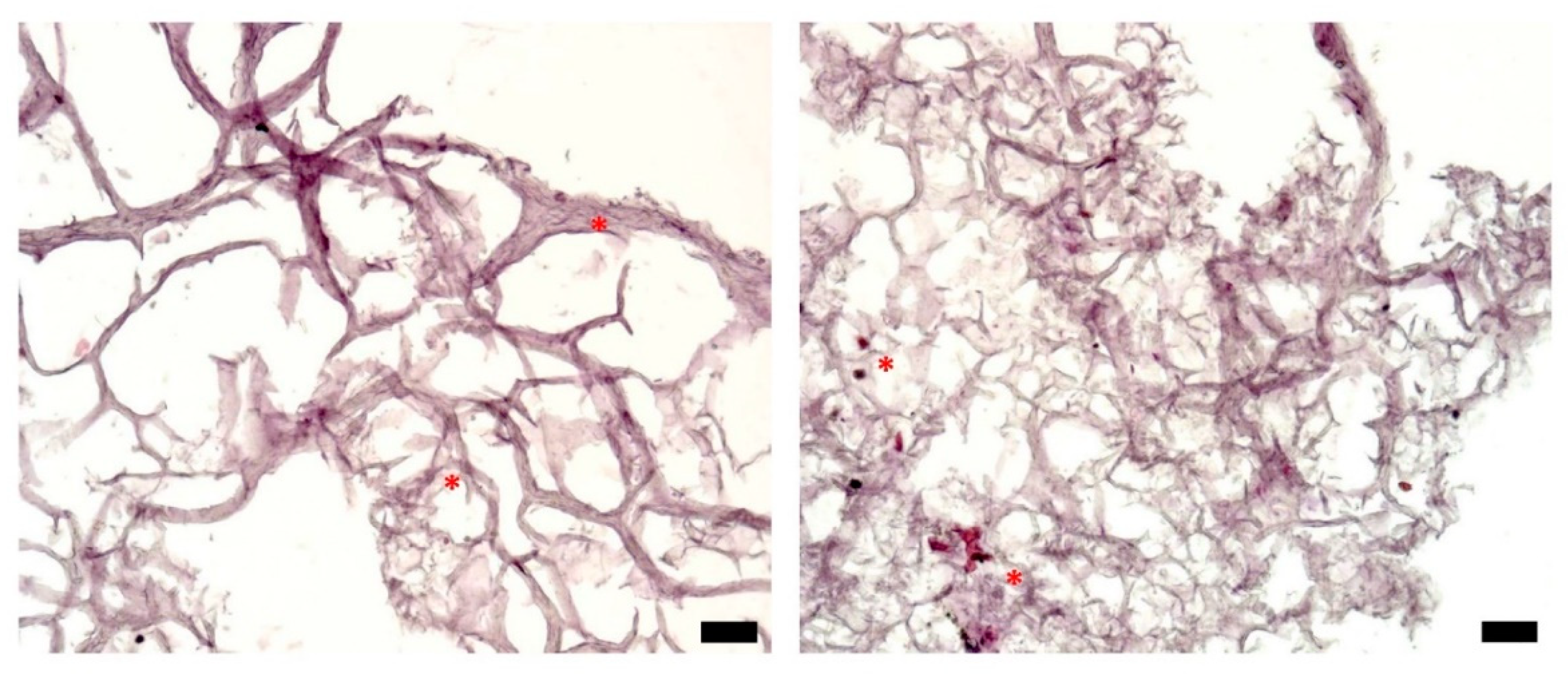 Micromachines 12 00535 g004