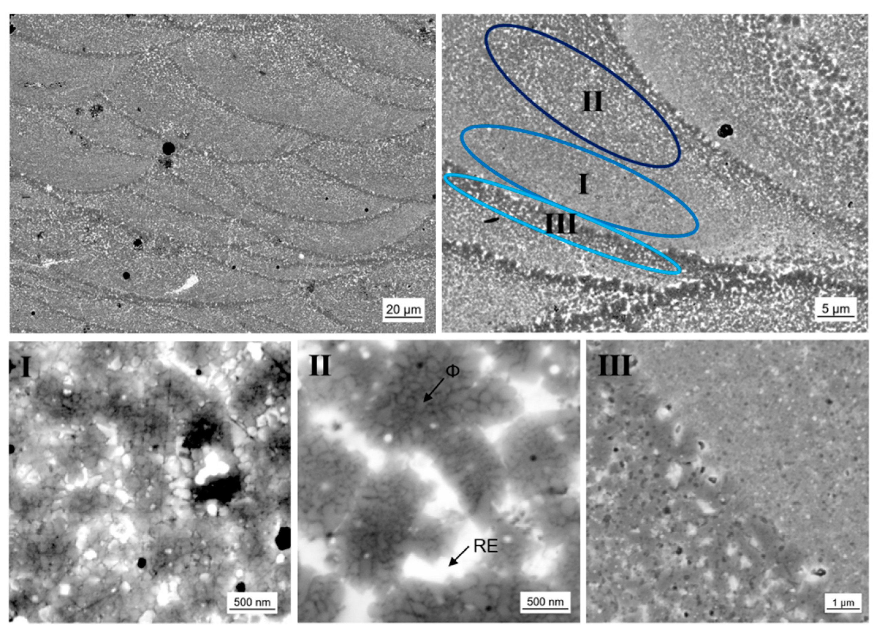 Micromachines 12 00538 g008